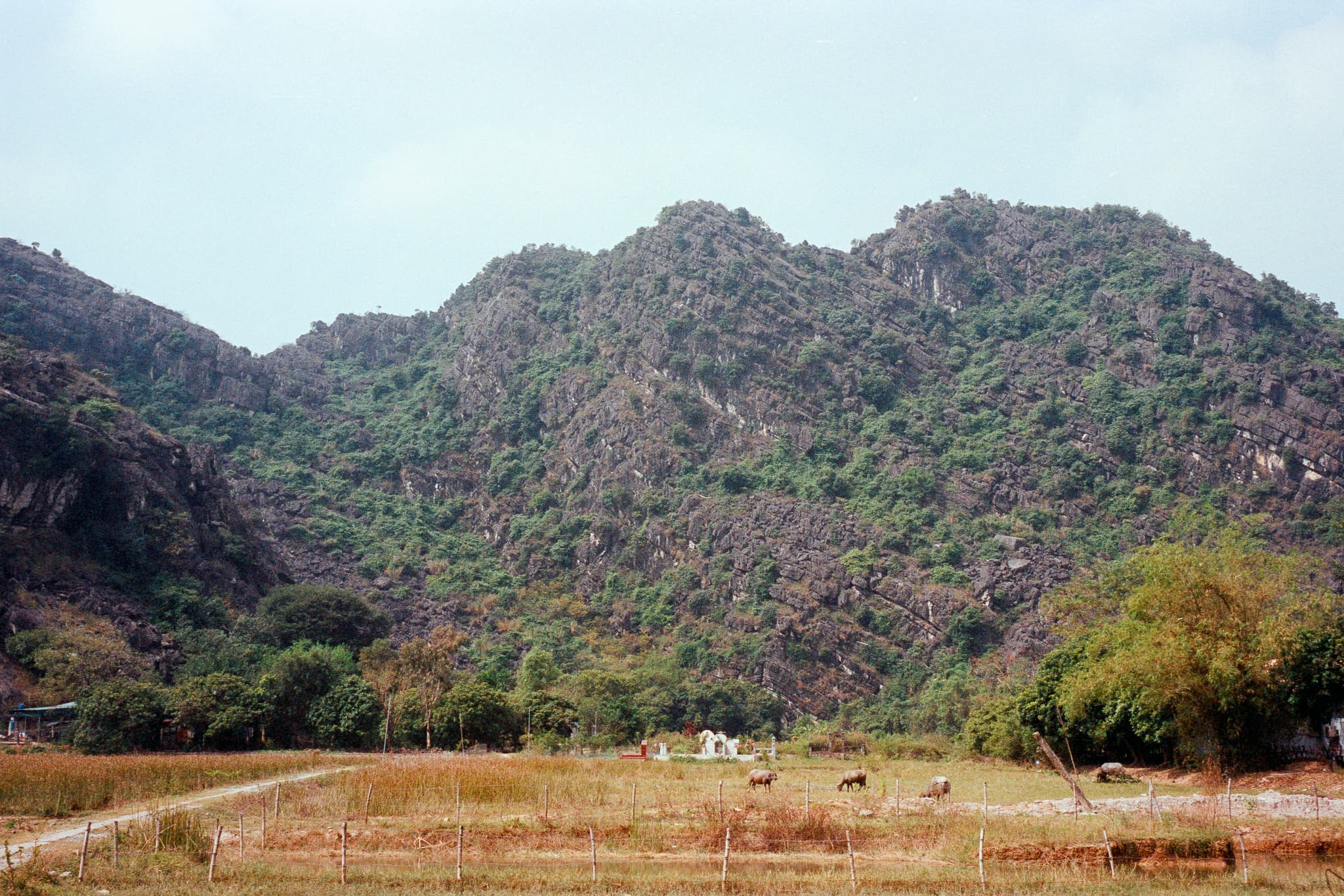 2022 Vietnam photo 13