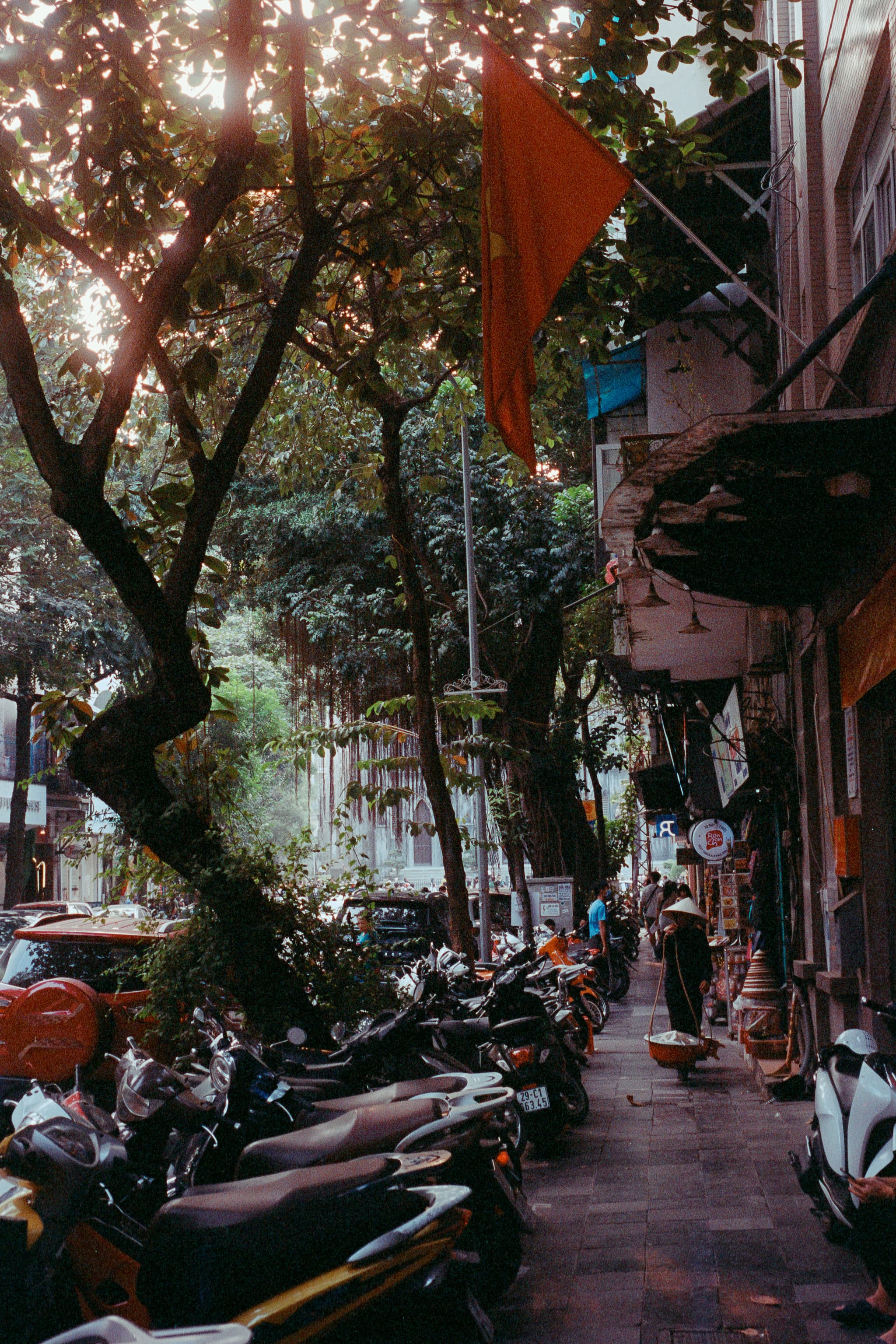 2022 Vietnam photo 15