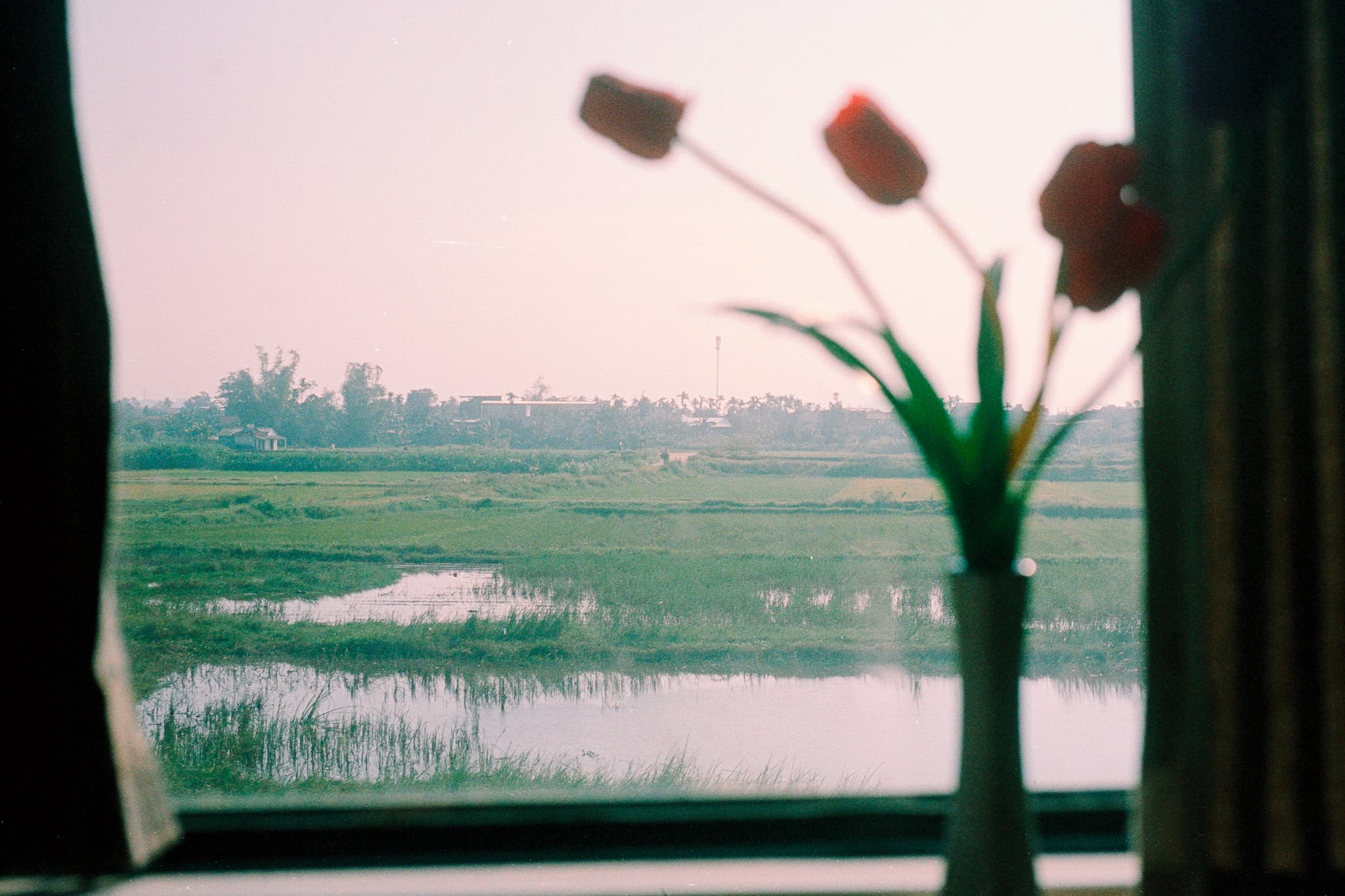 2022 Vietnam photo 17