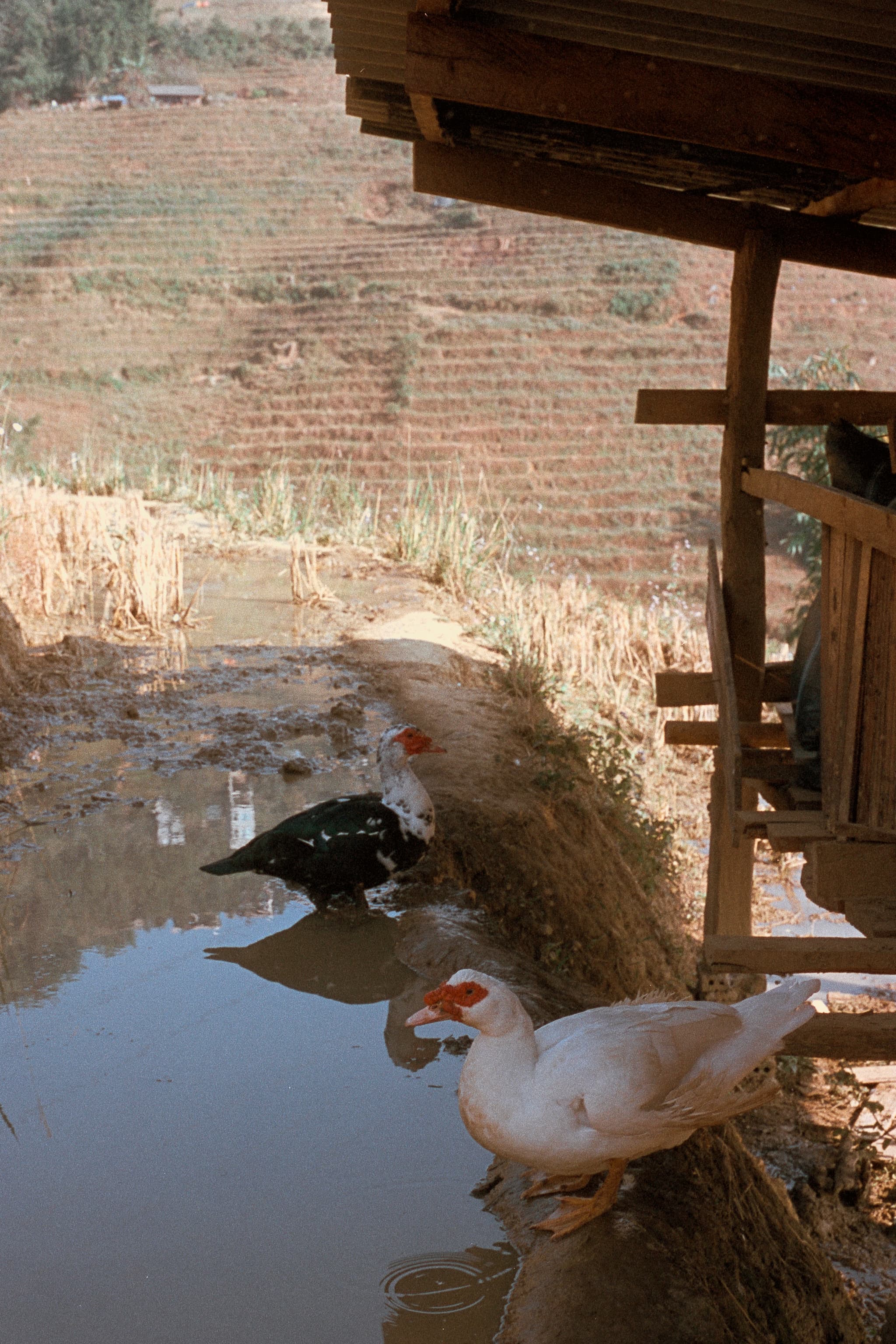 2022 Vietnam photo 32