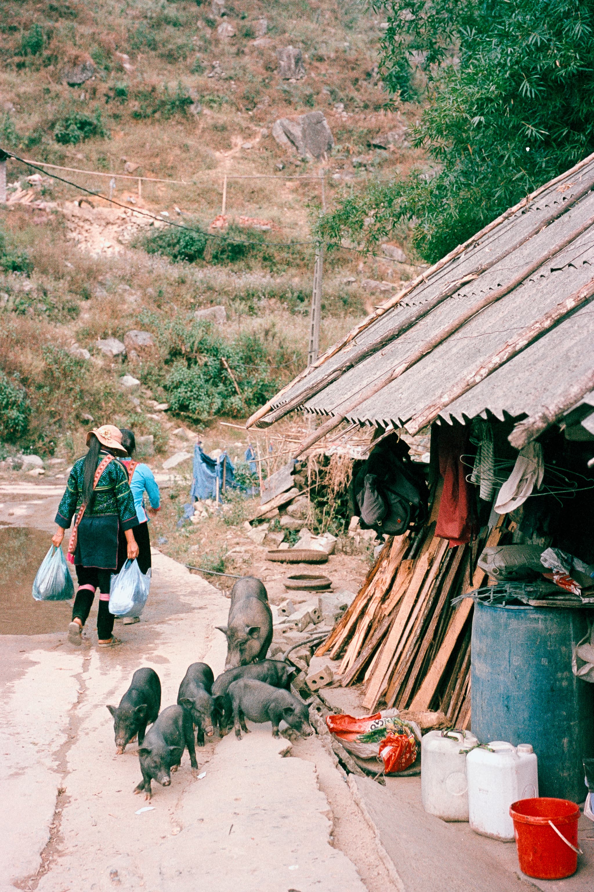 2022 Vietnam photo 33