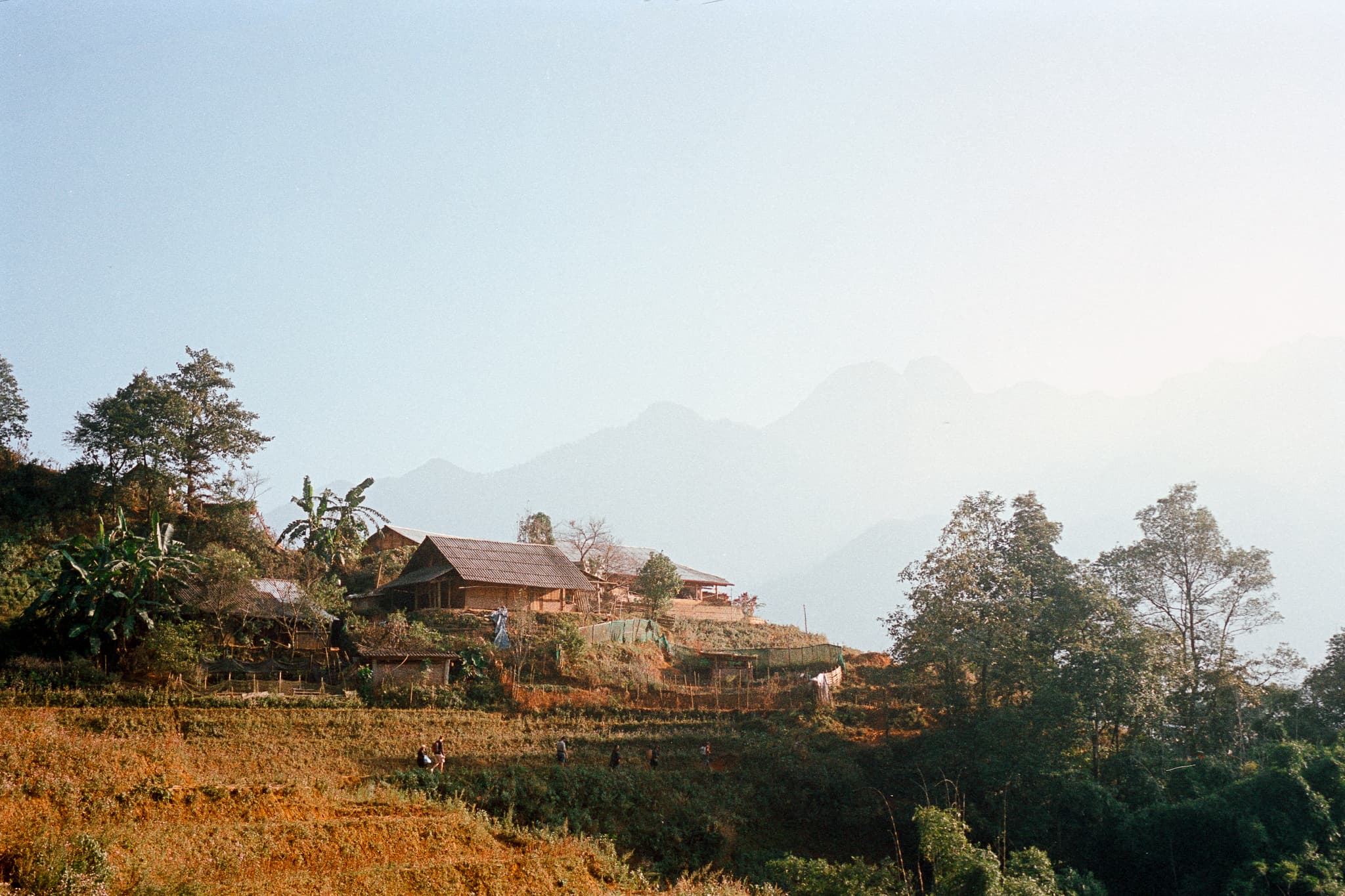 2022 Vietnam photo 35