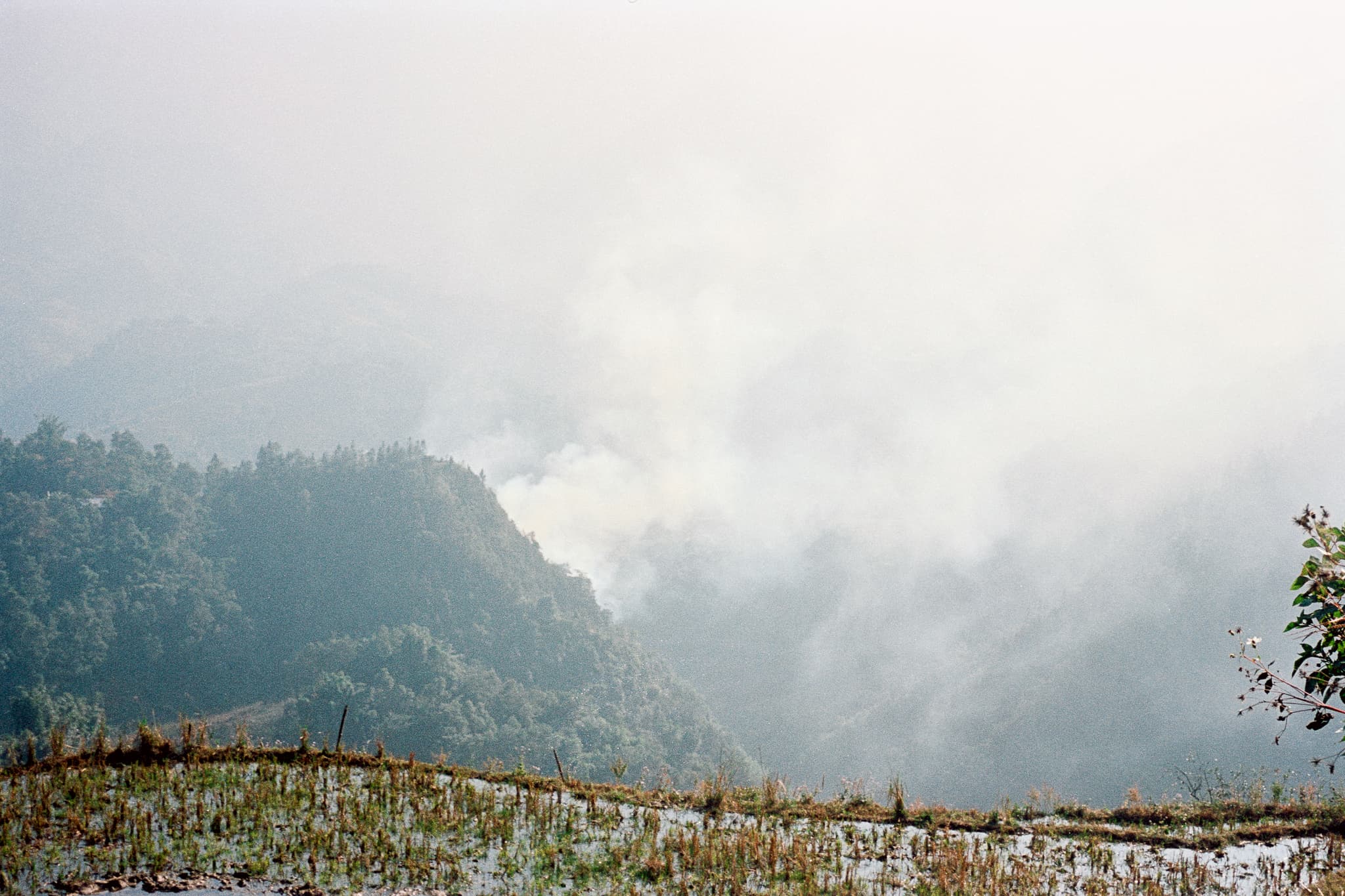 2022 Vietnam photo 37