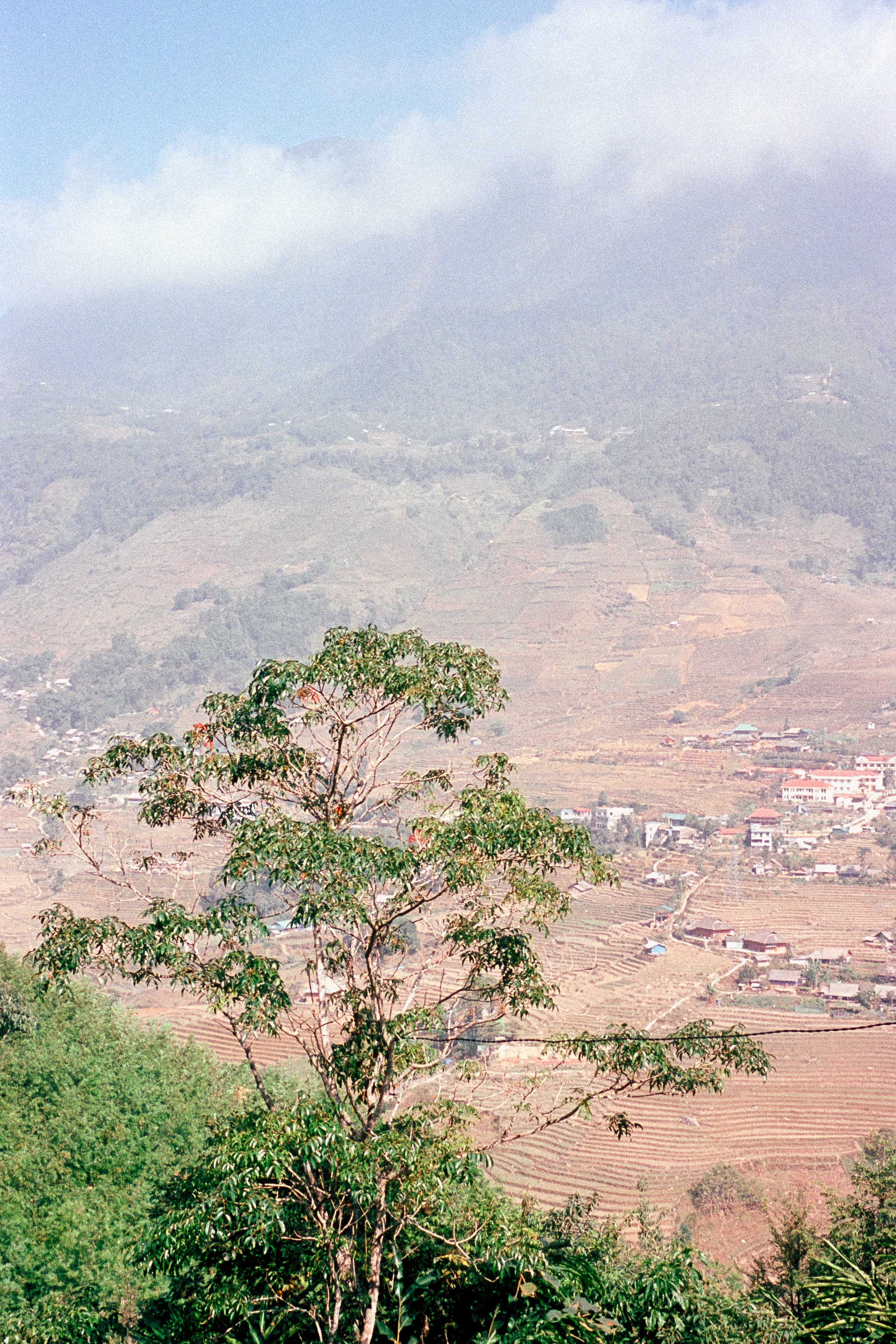 2022 Vietnam photo 43