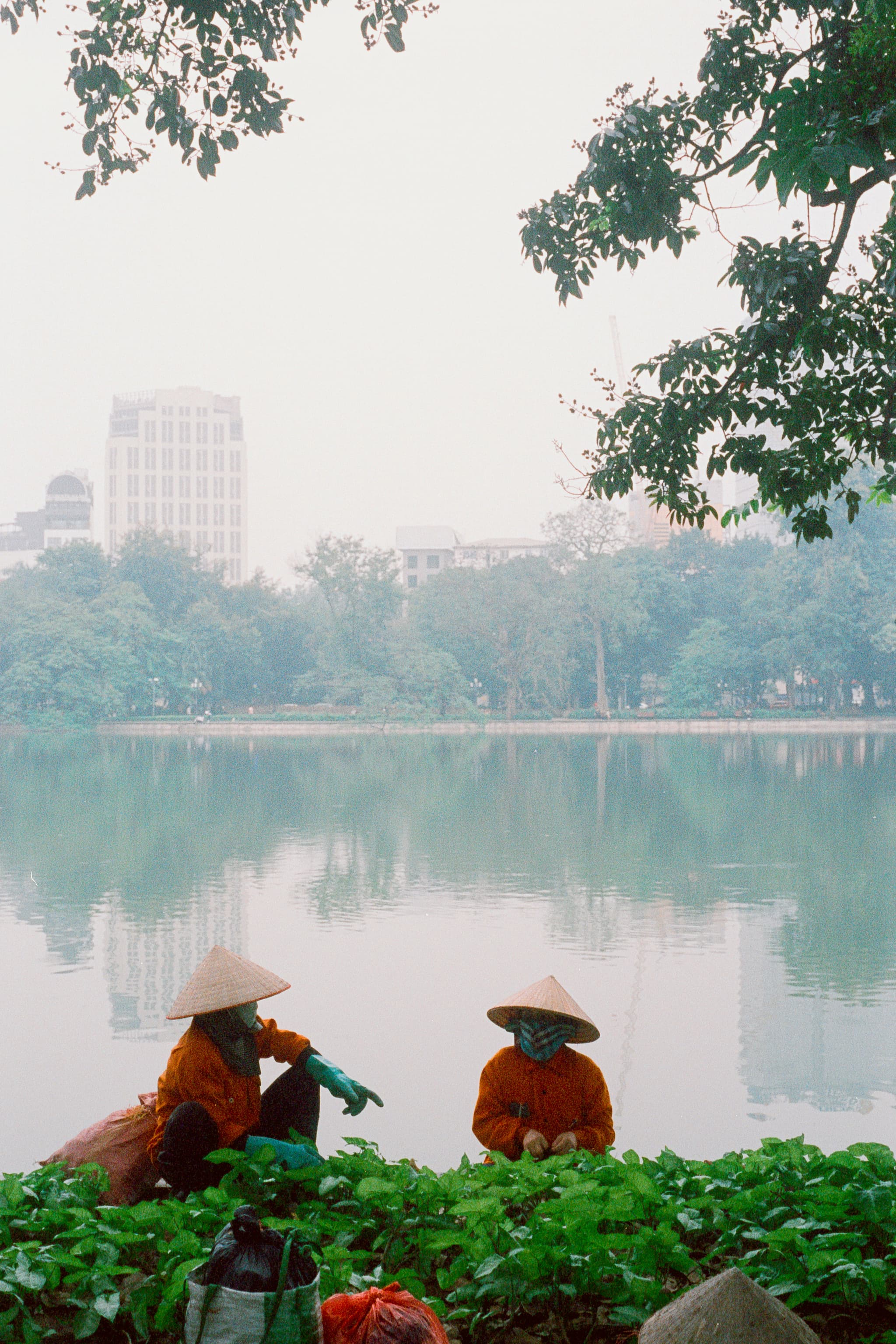 2022 Vietnam photo 61