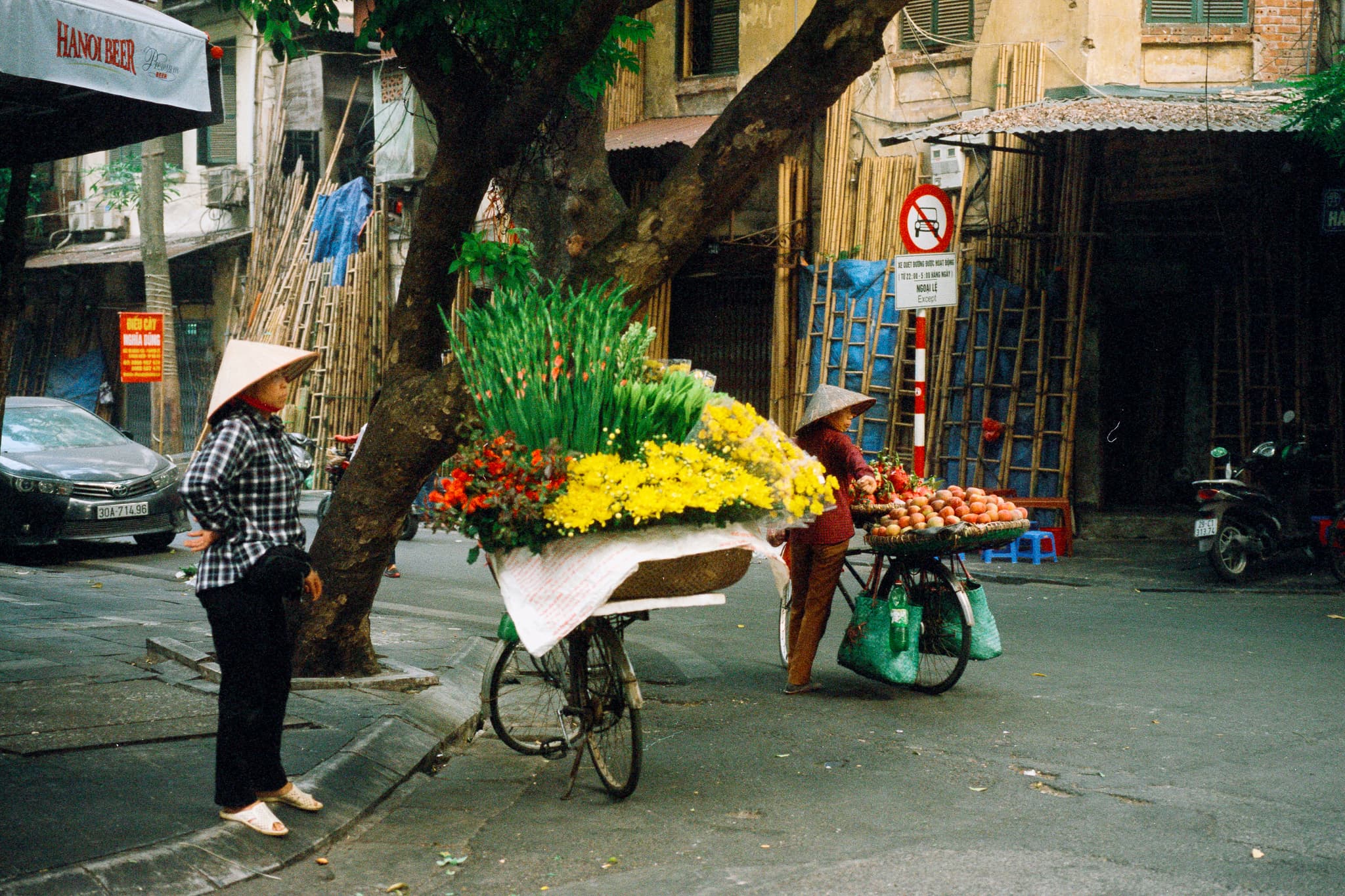 2022 Vietnam photo 73