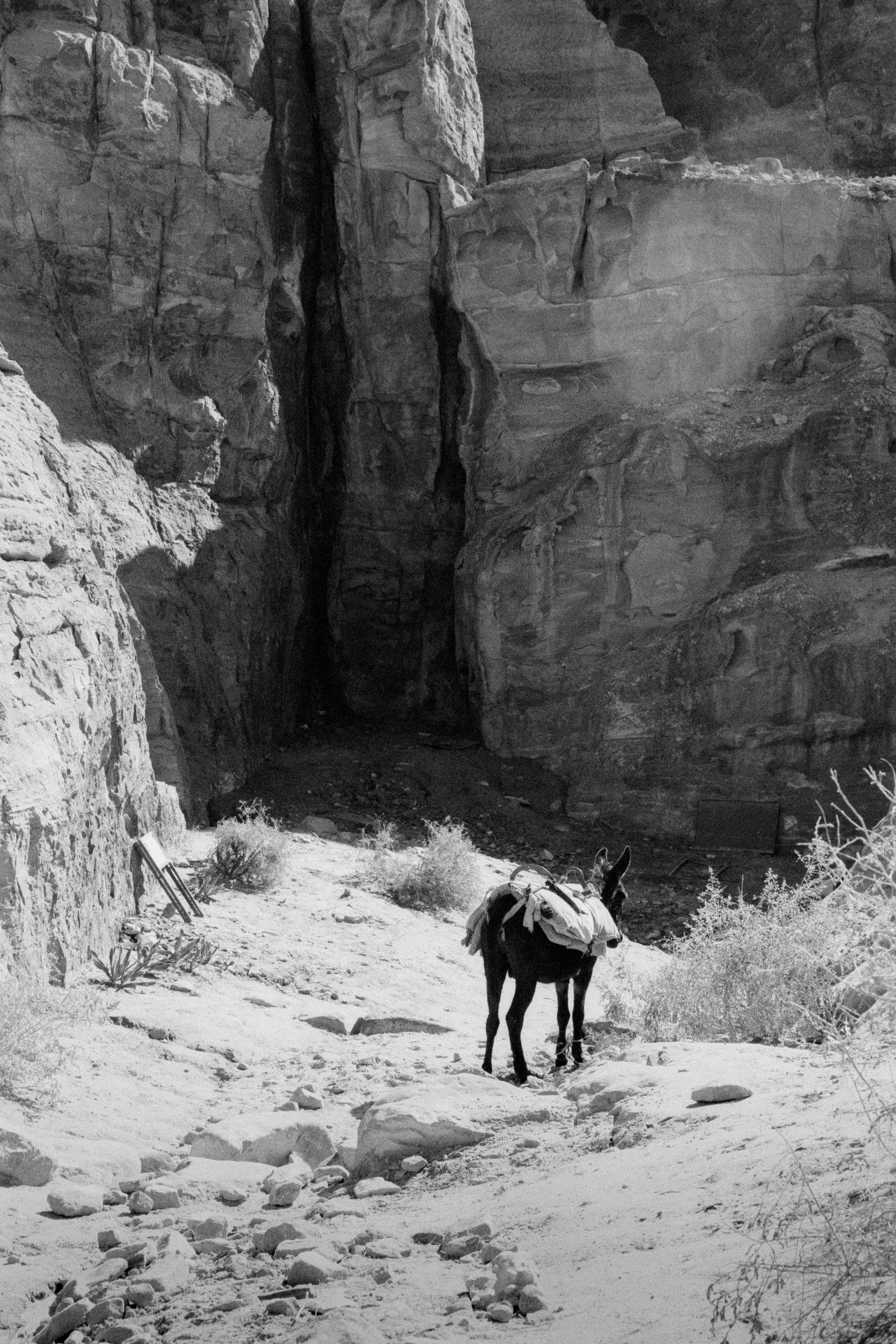 2023 Jordan photo 12