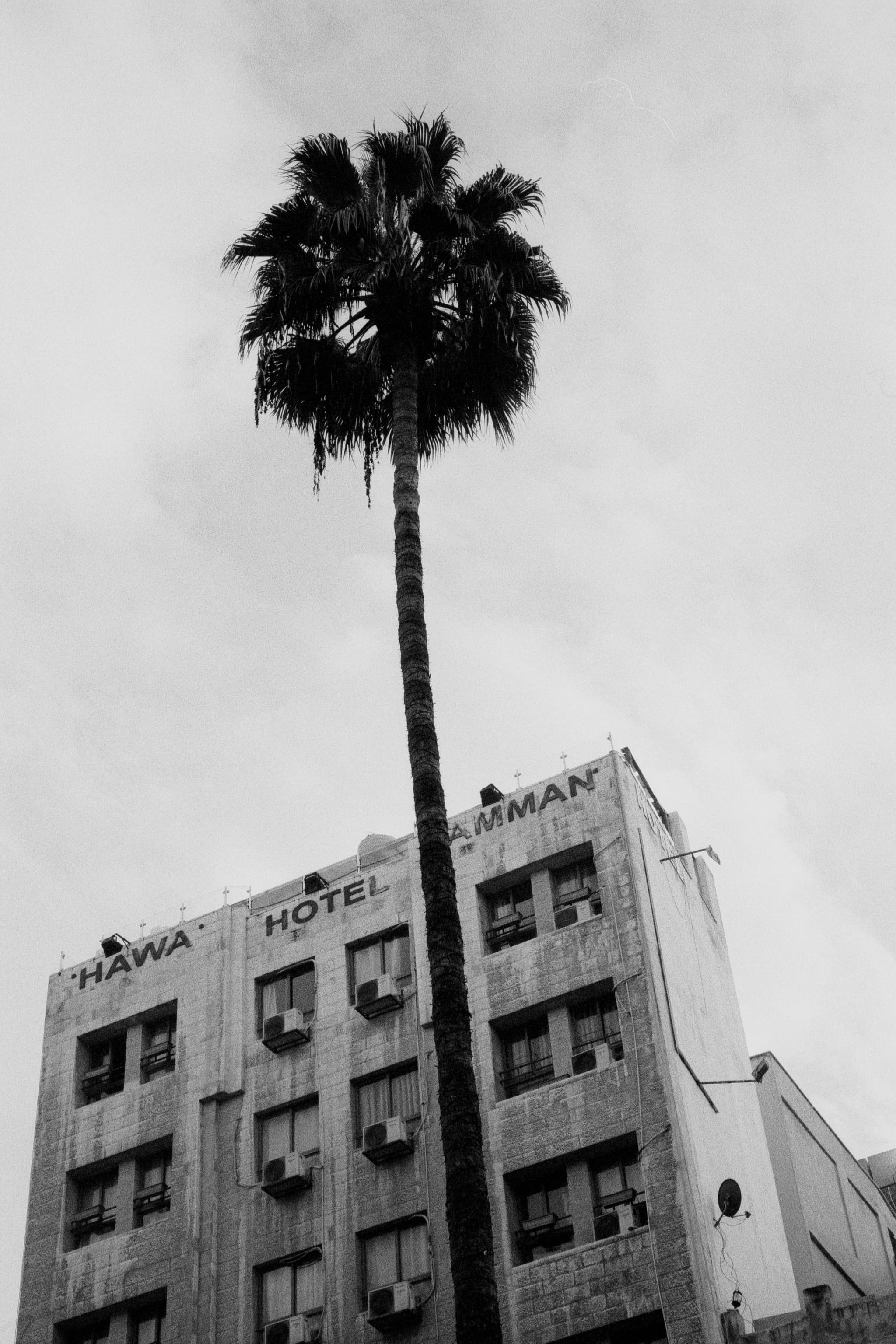 2023 Jordan photo 22