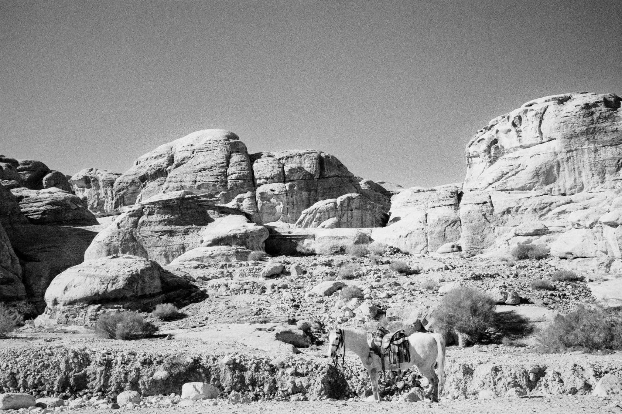 2023 Jordan photo 34