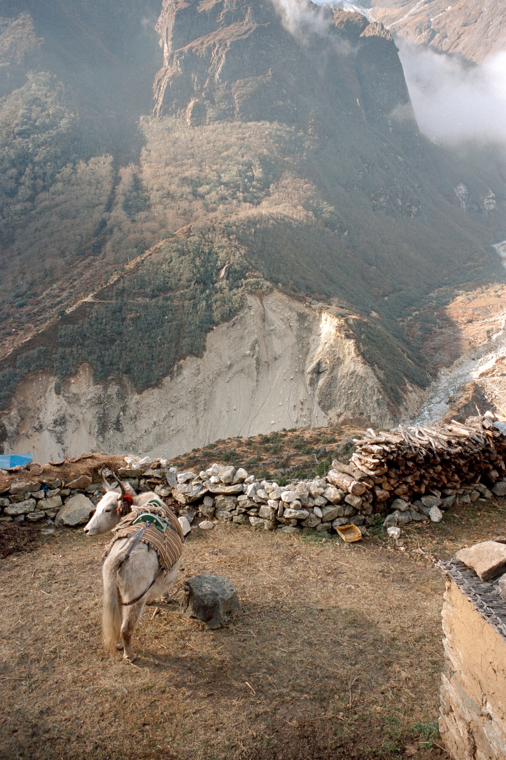 2023 Nepal photo 102