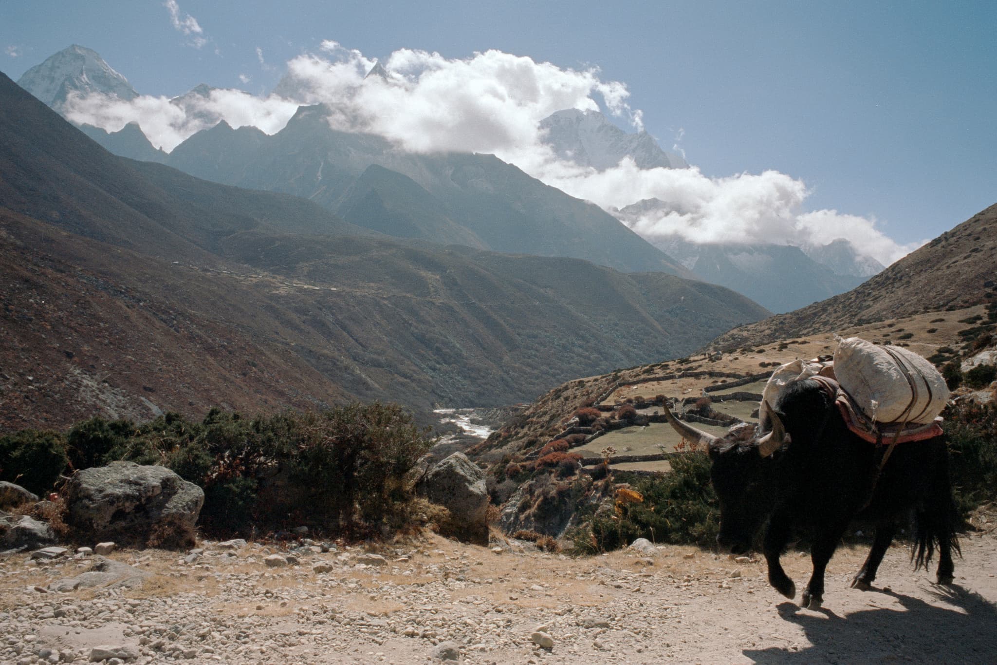 2023 Nepal photo 115