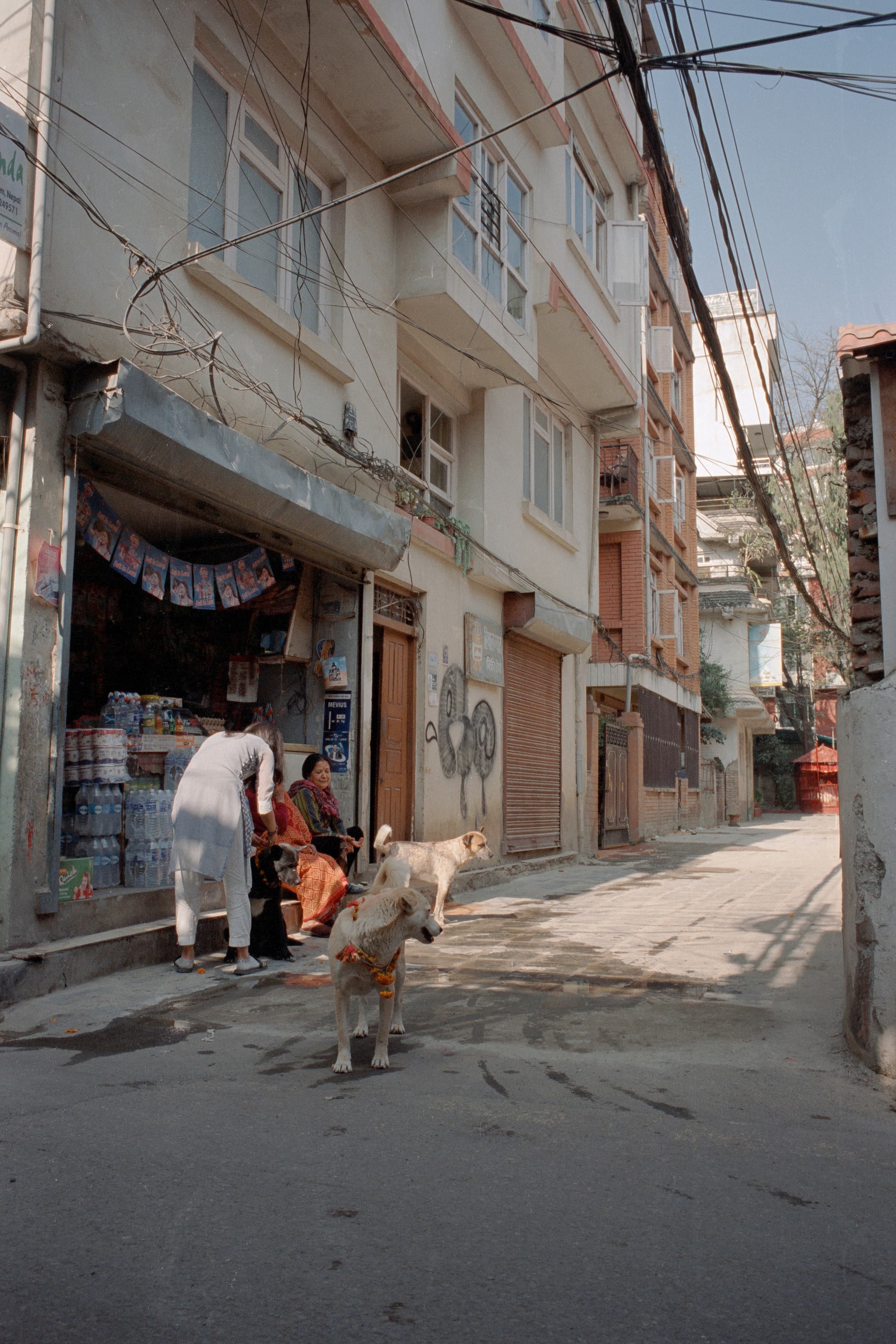 2023 Nepal photo 118