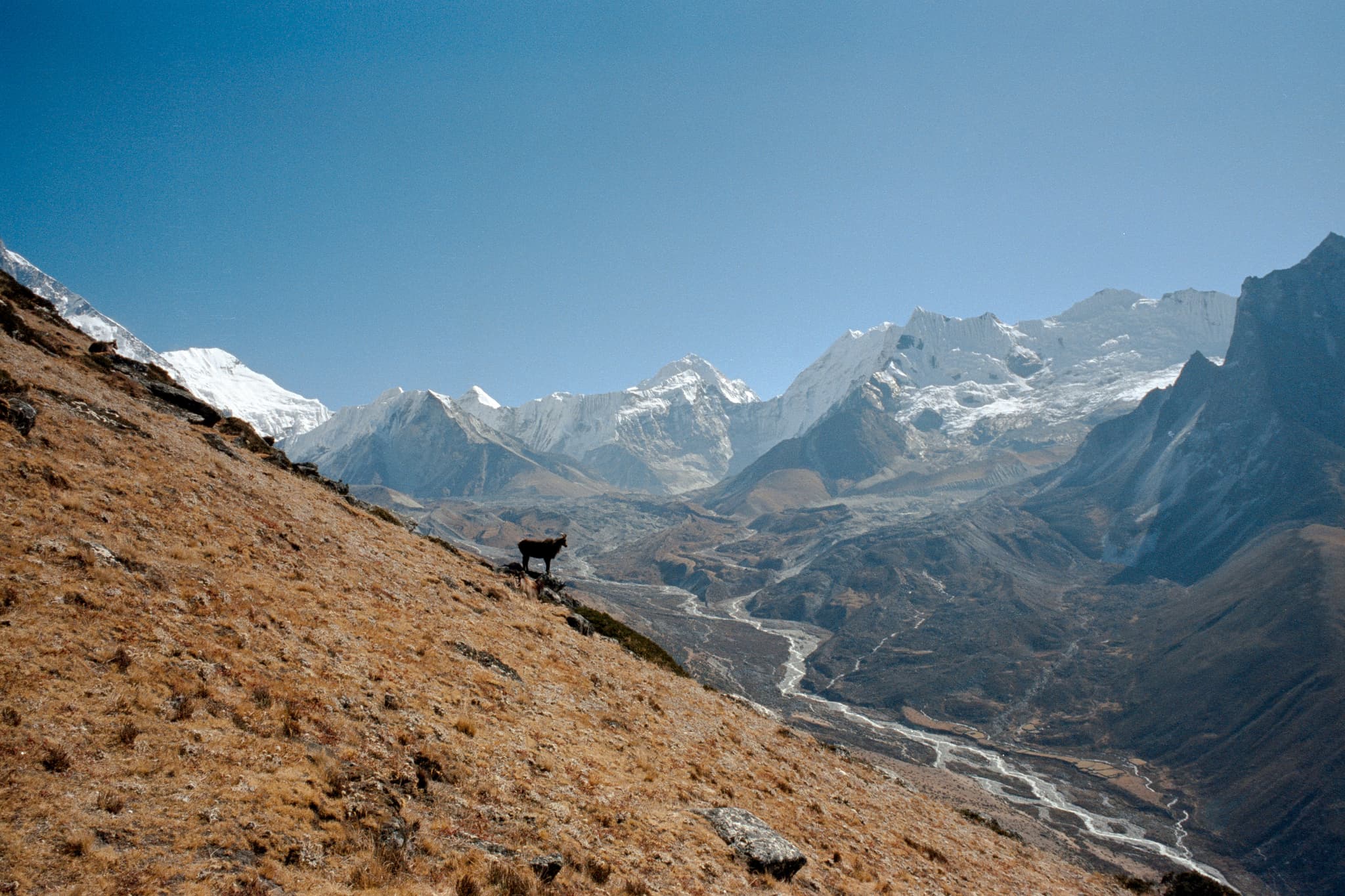 2023 Nepal photo 119