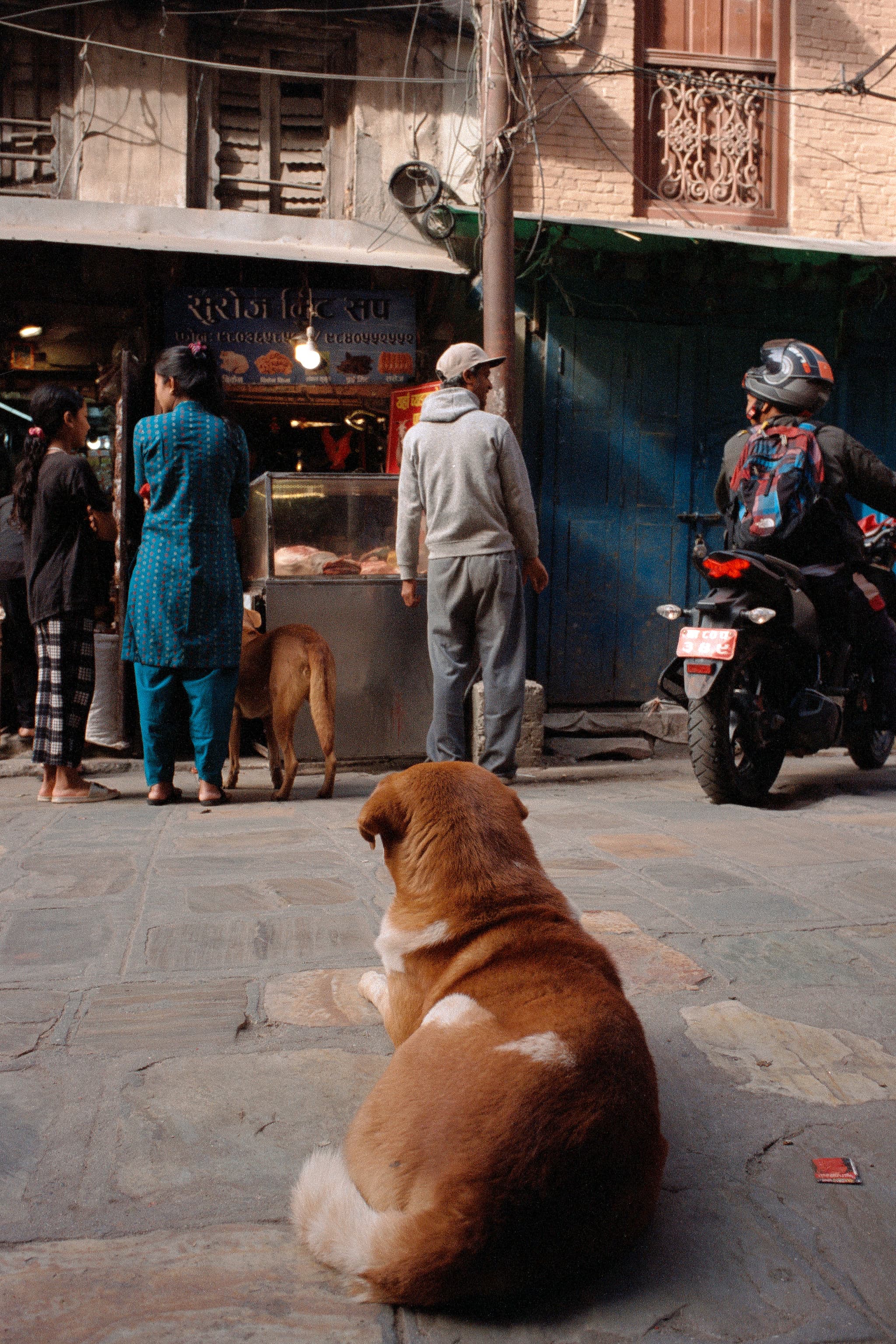 2023 Nepal photo 142