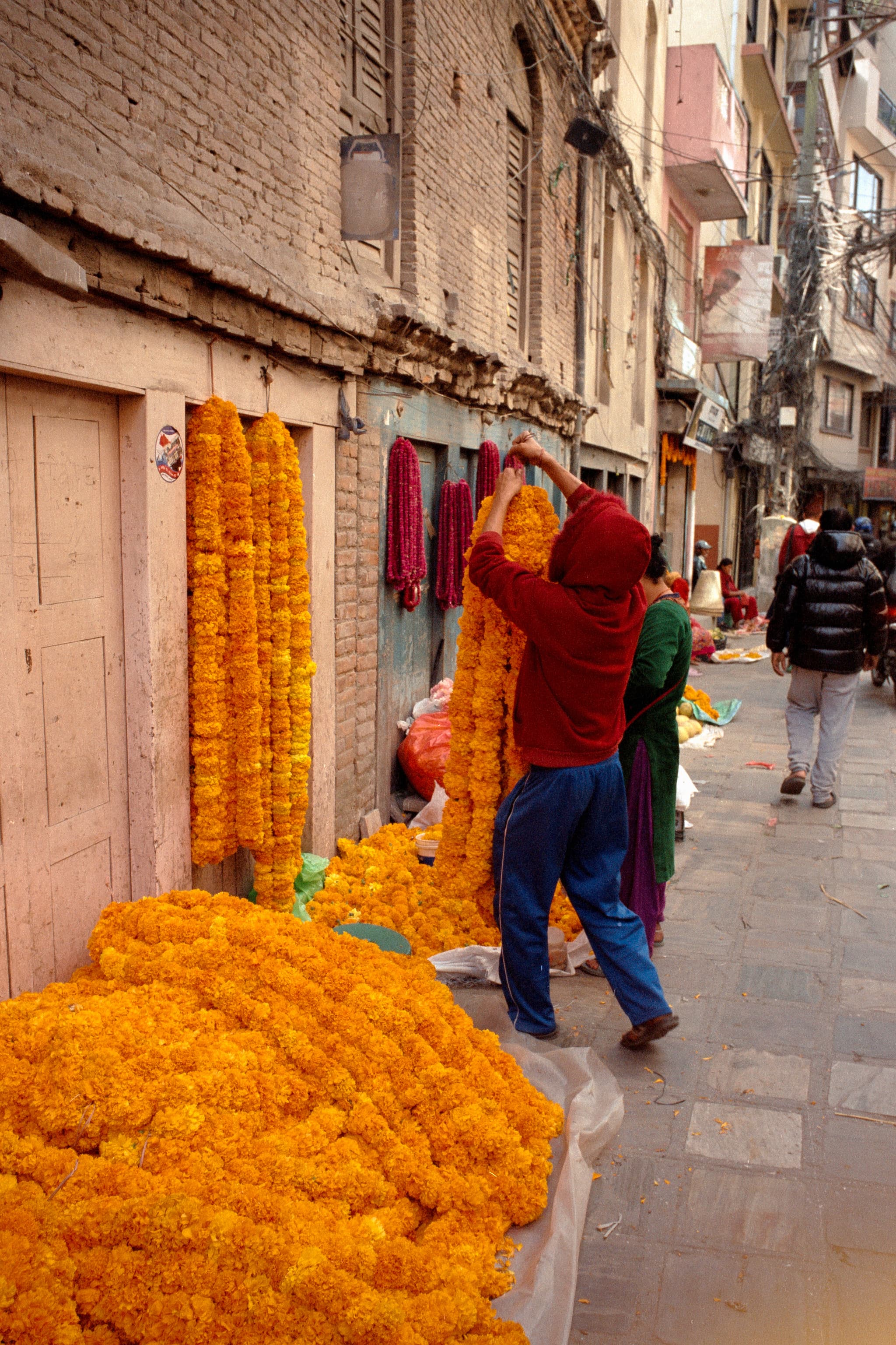 2023 Nepal photo 157