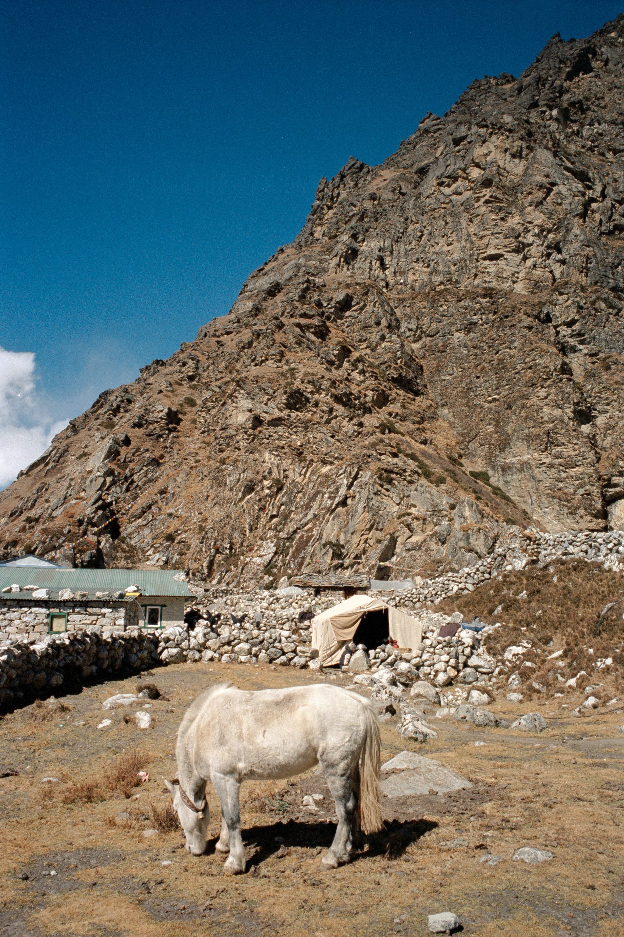 2023 Nepal photo 158