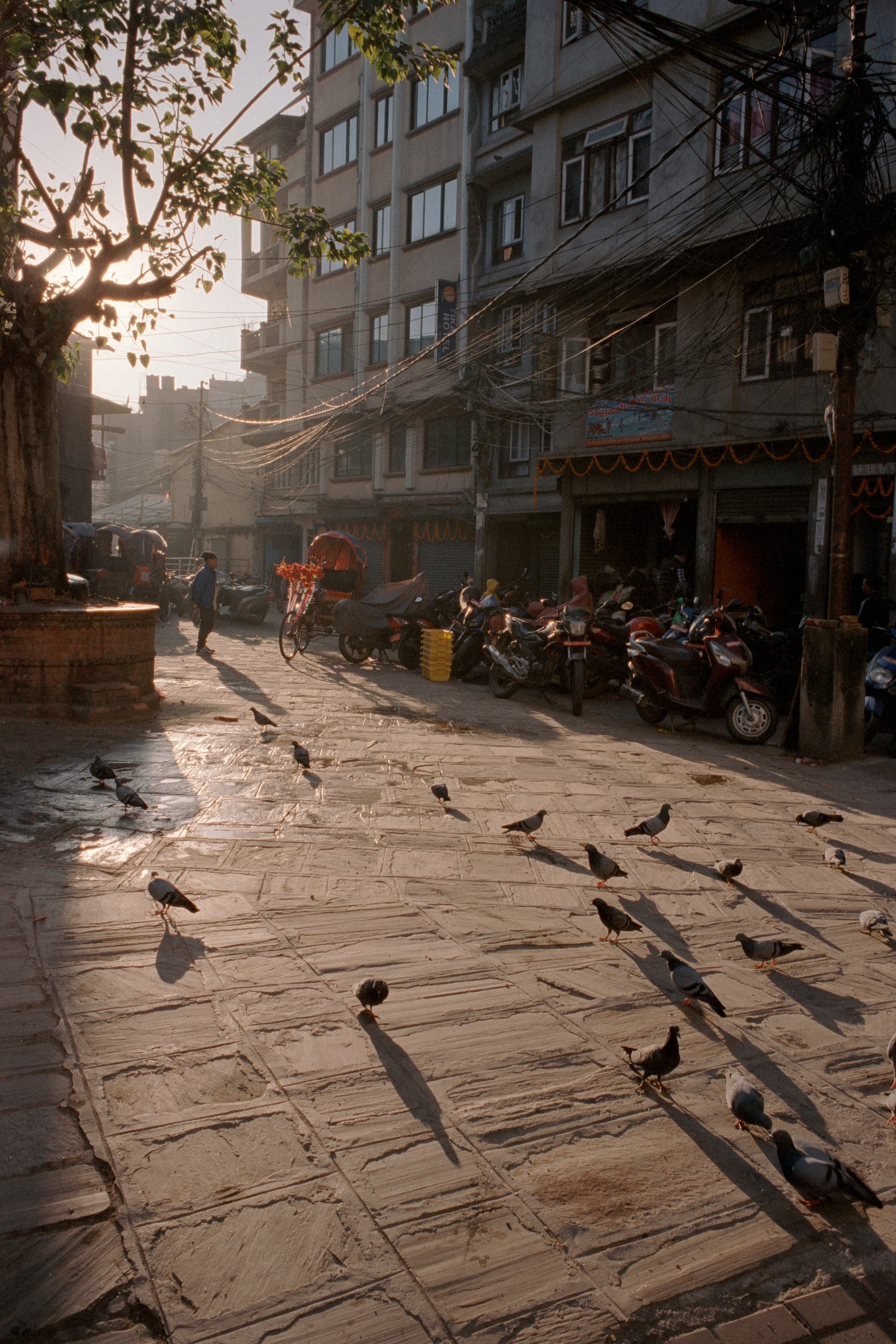 2023 Nepal photo 185