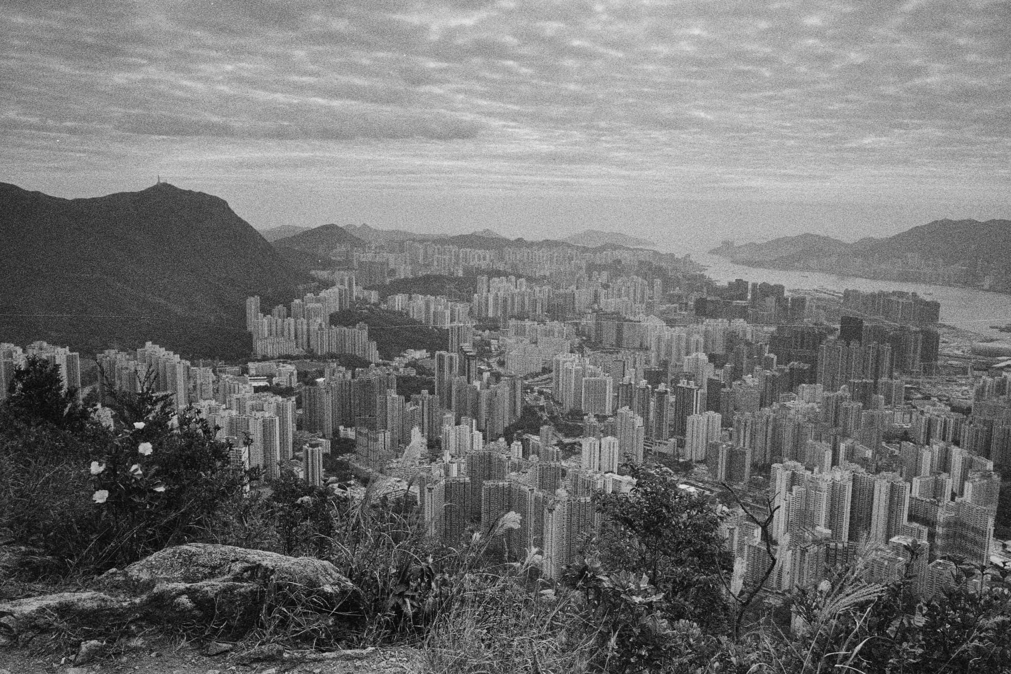 2024 Hongkong photo 2