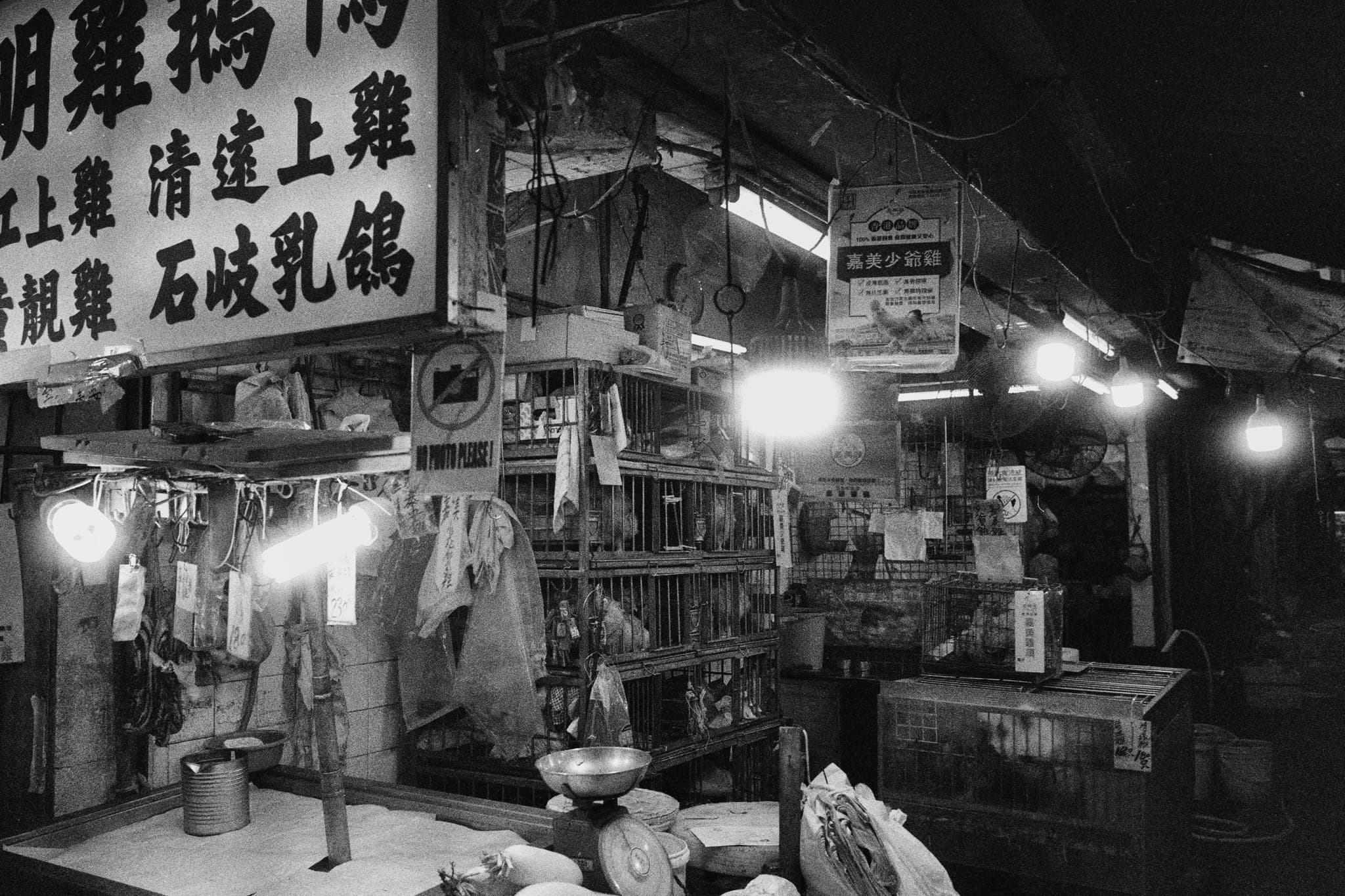 2024 Hongkong photo 5