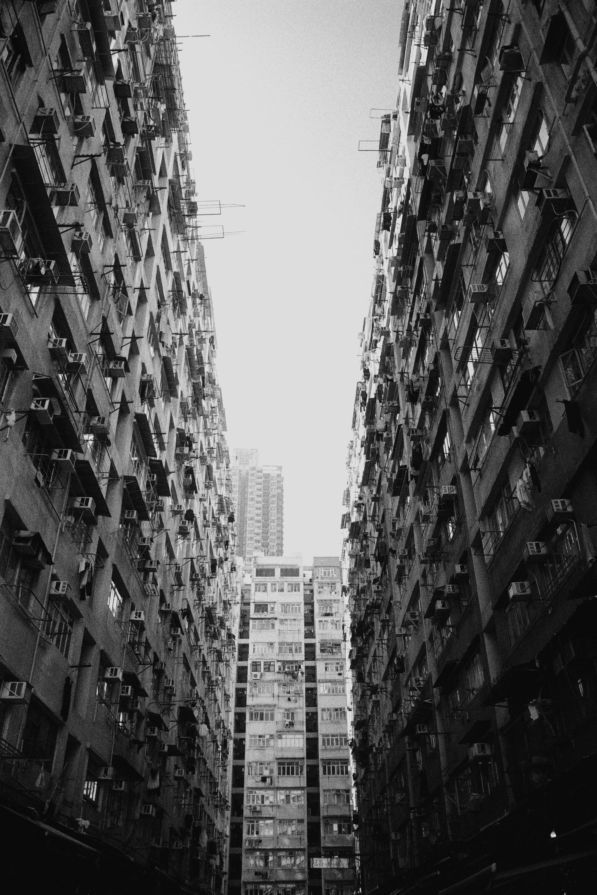 2024 Hongkong photo 15