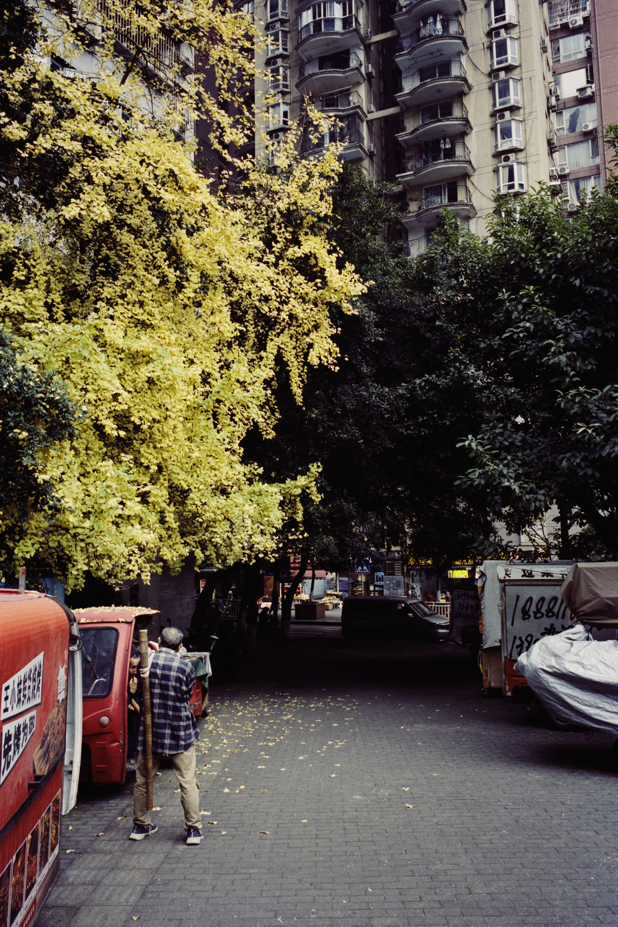 2025 China photo 141