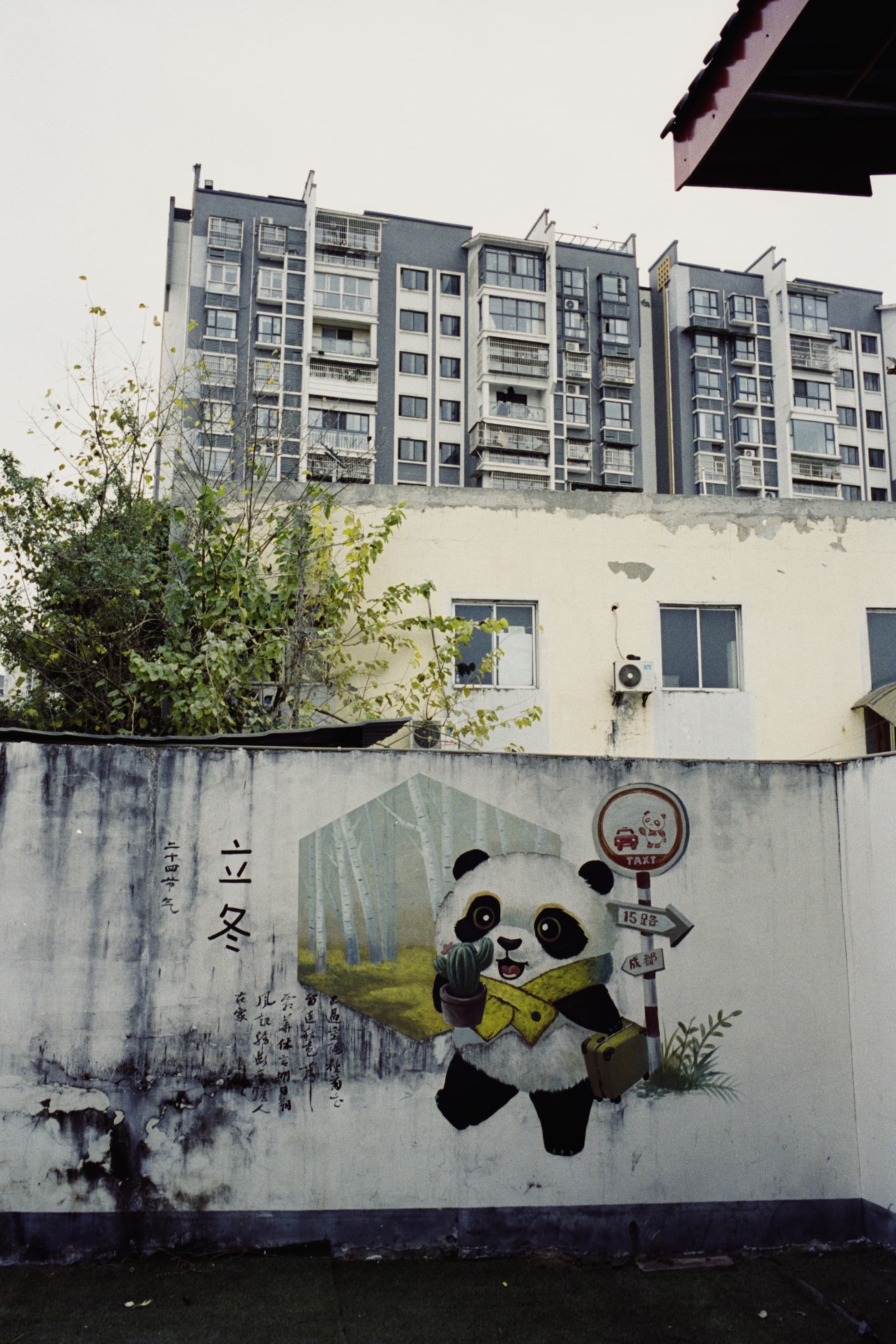 2025 China photo 148