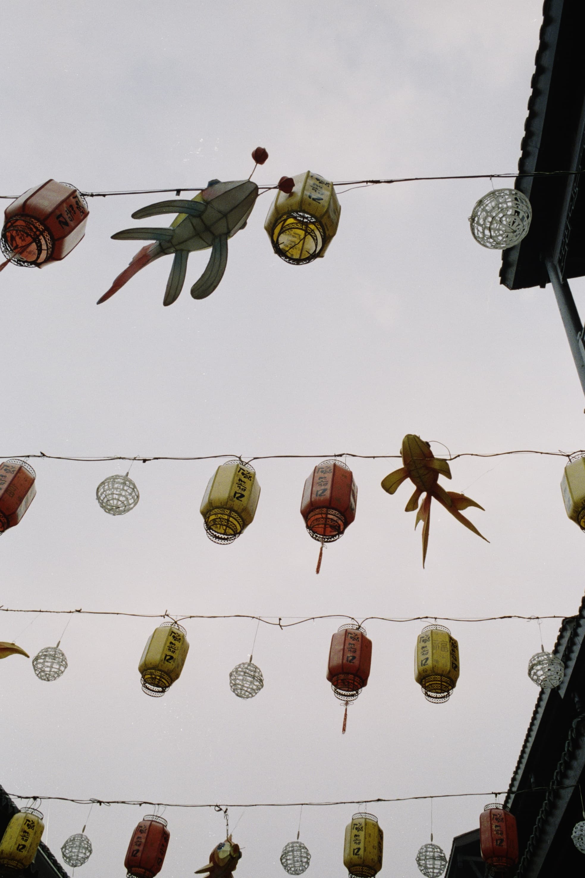 2025 China photo 152