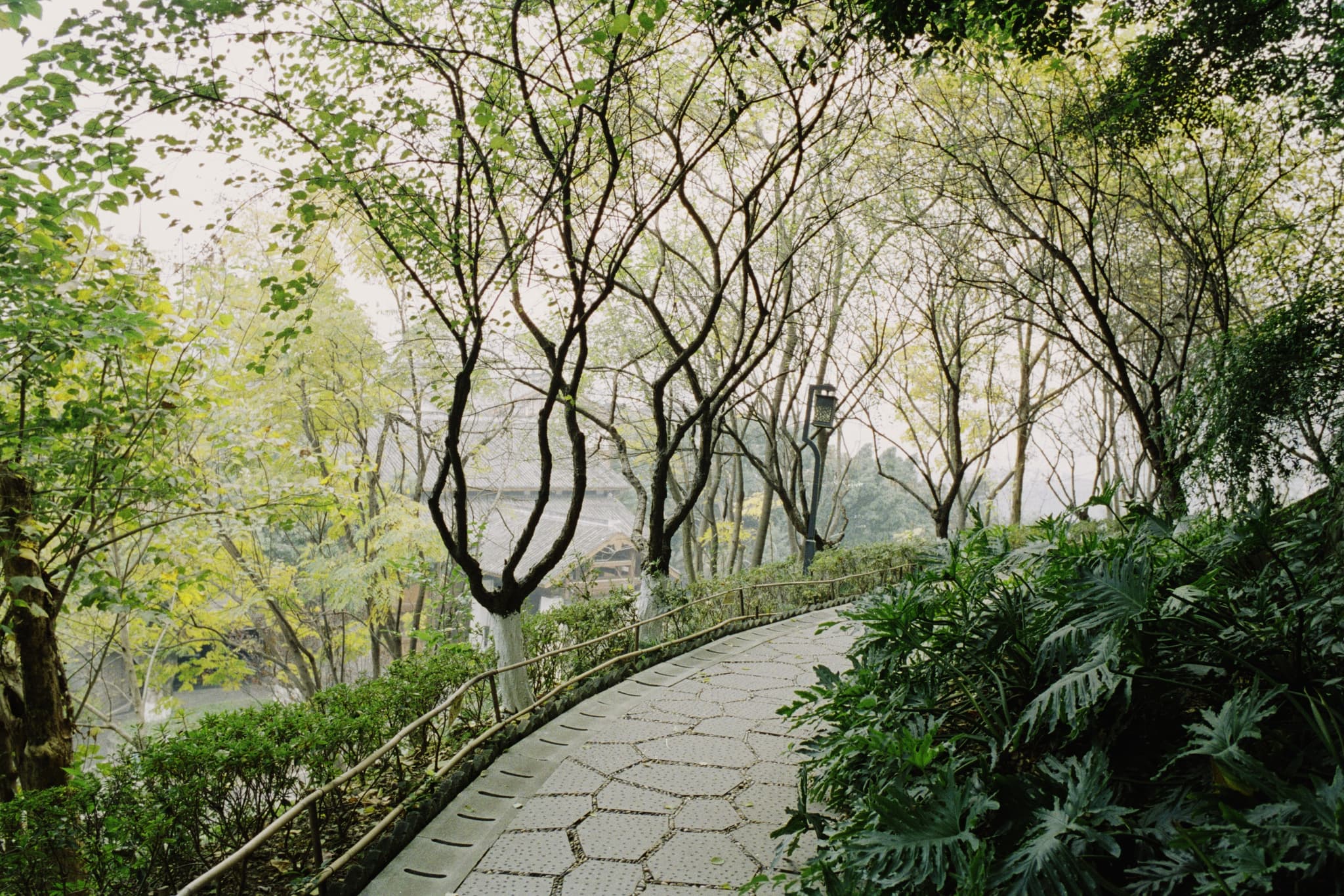 2025 China photo 154