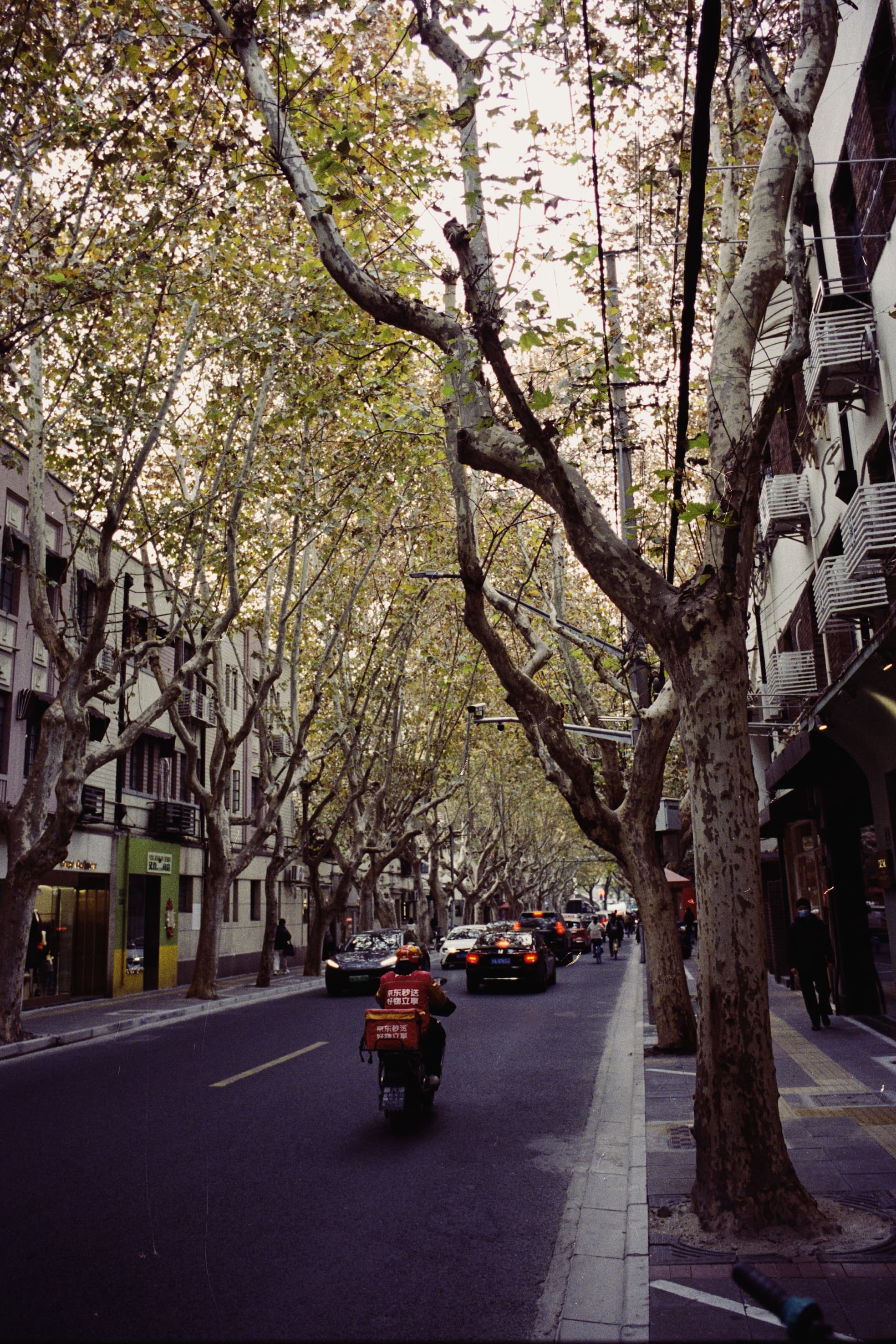 2025 China photo 179