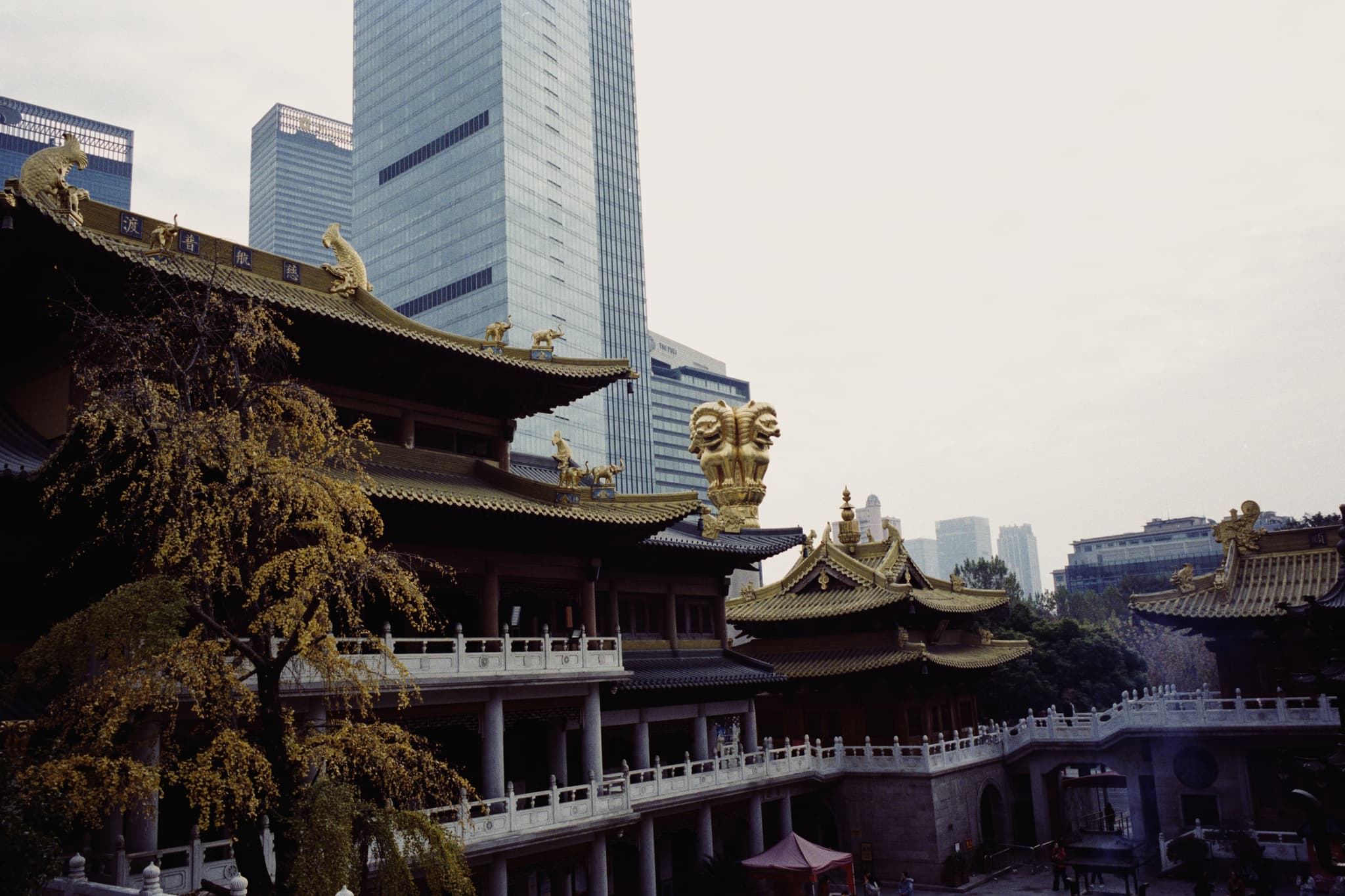 2025 China photo 184