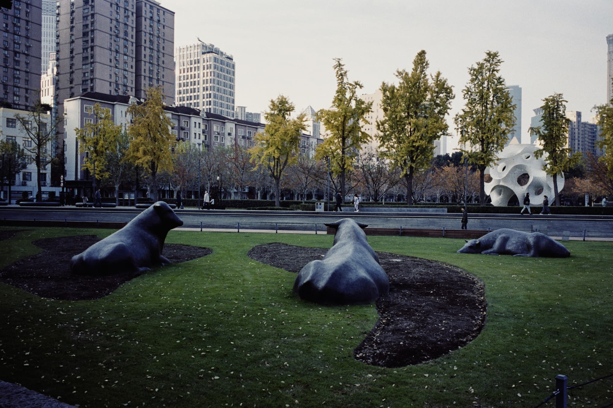 2025 China photo 194