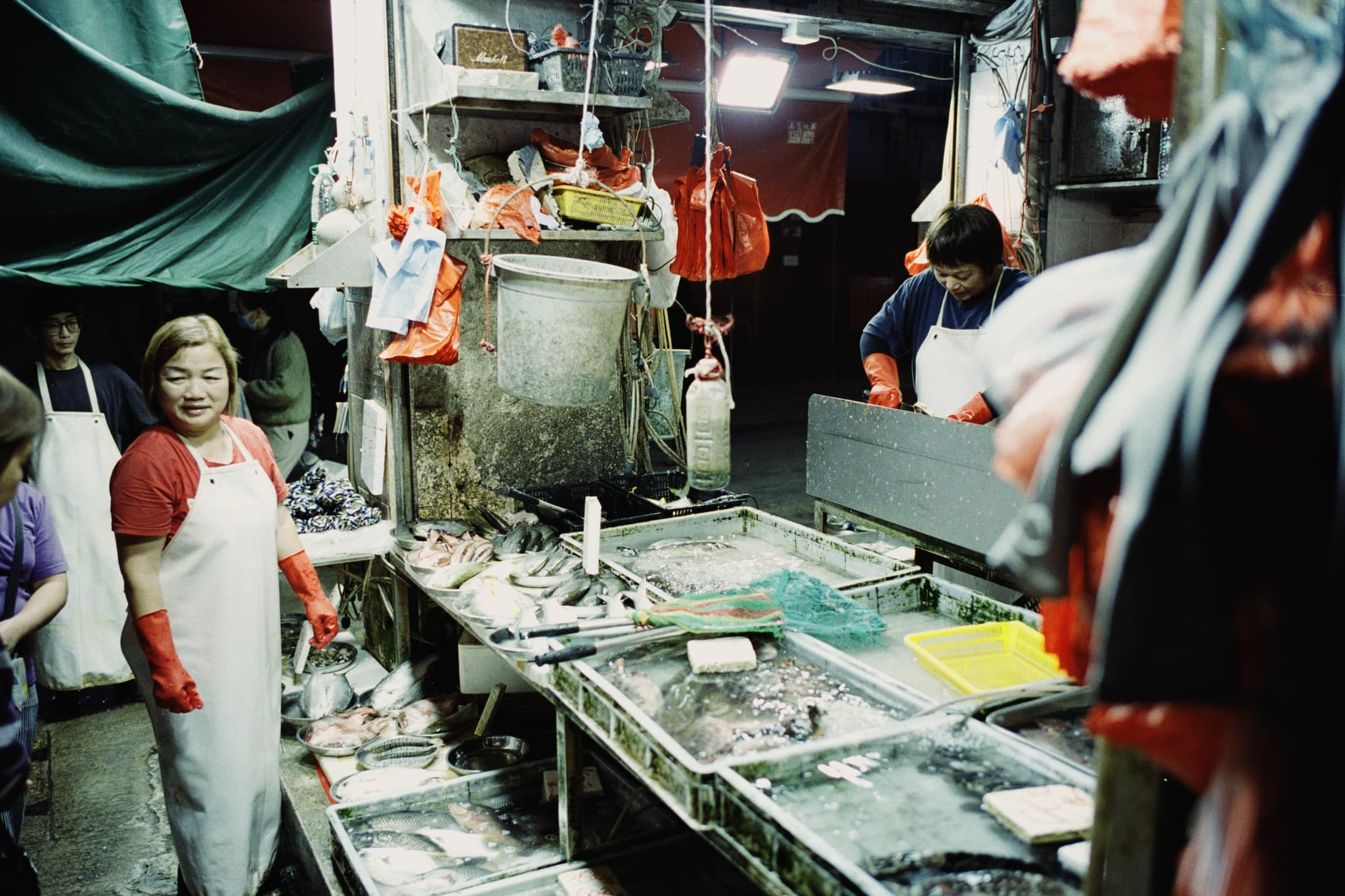 2025 Hongkong photo 42