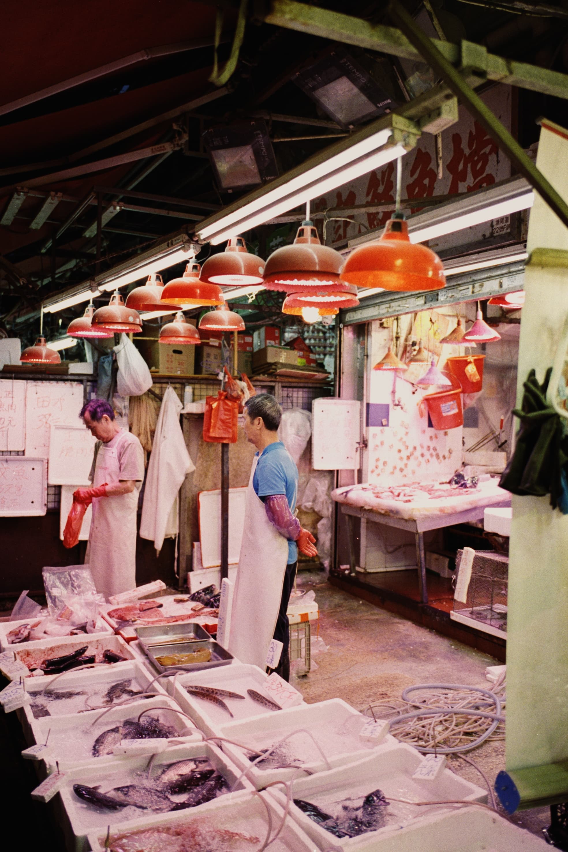 2025 Hongkong photo 51