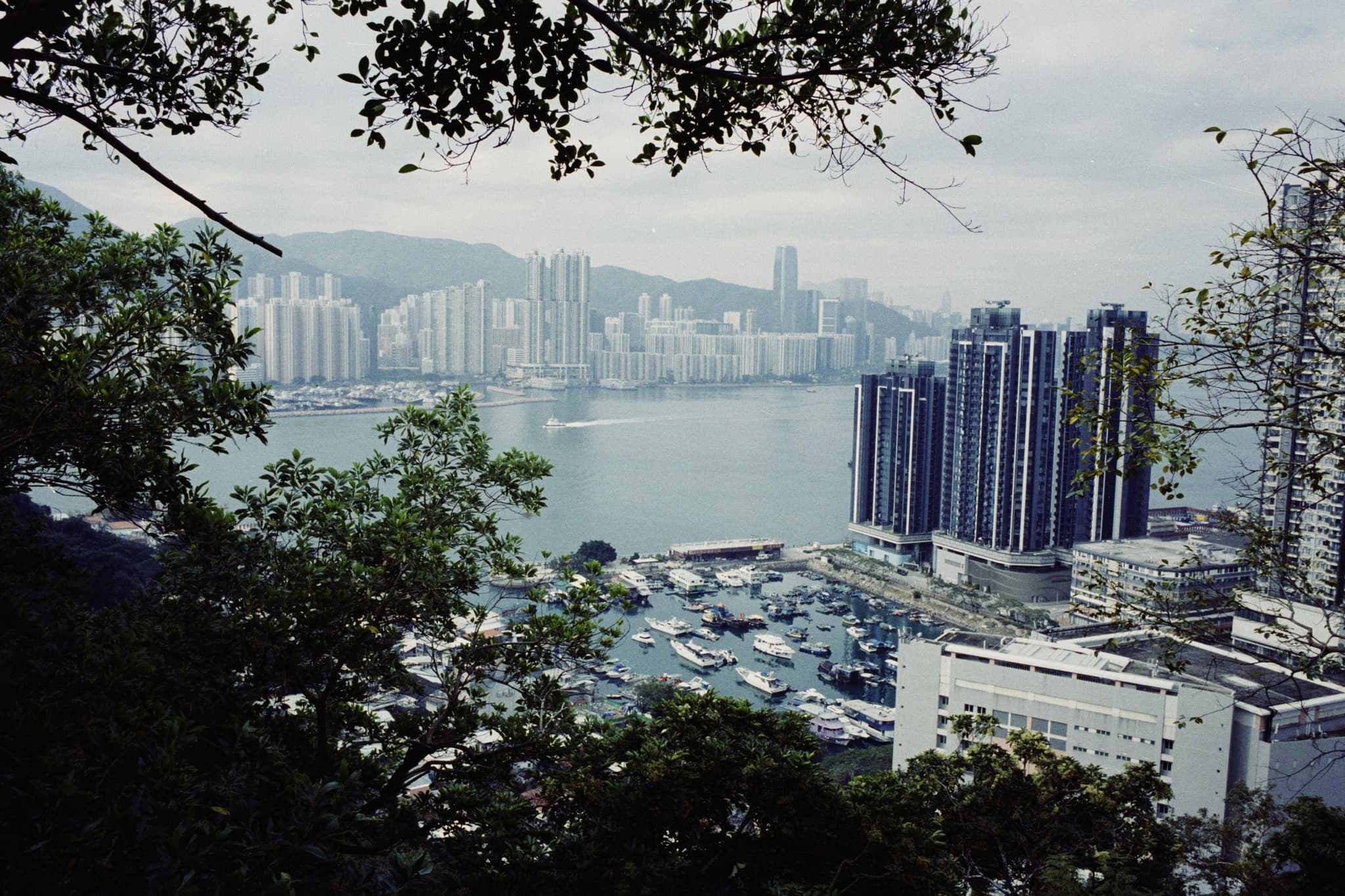 2025 Hongkong photo 75