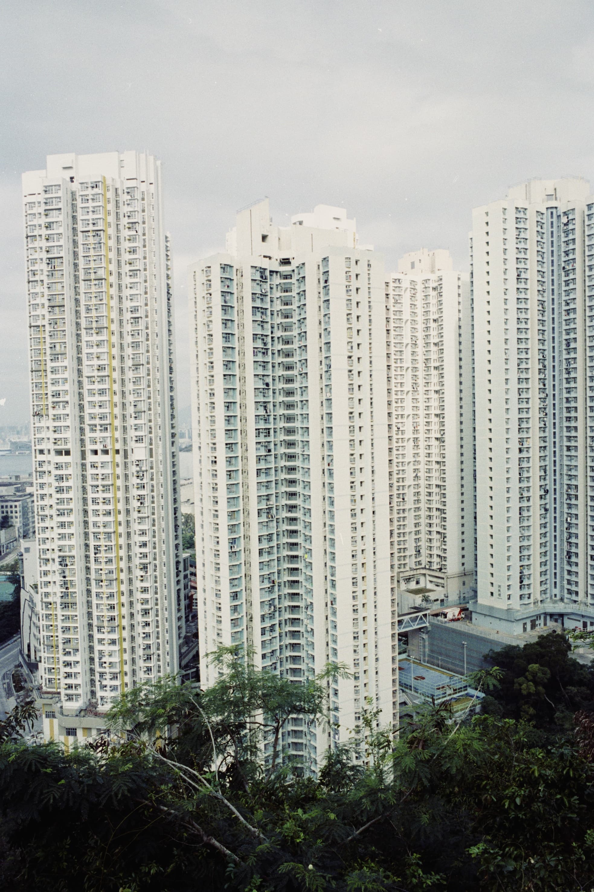 2025 Hongkong photo 76