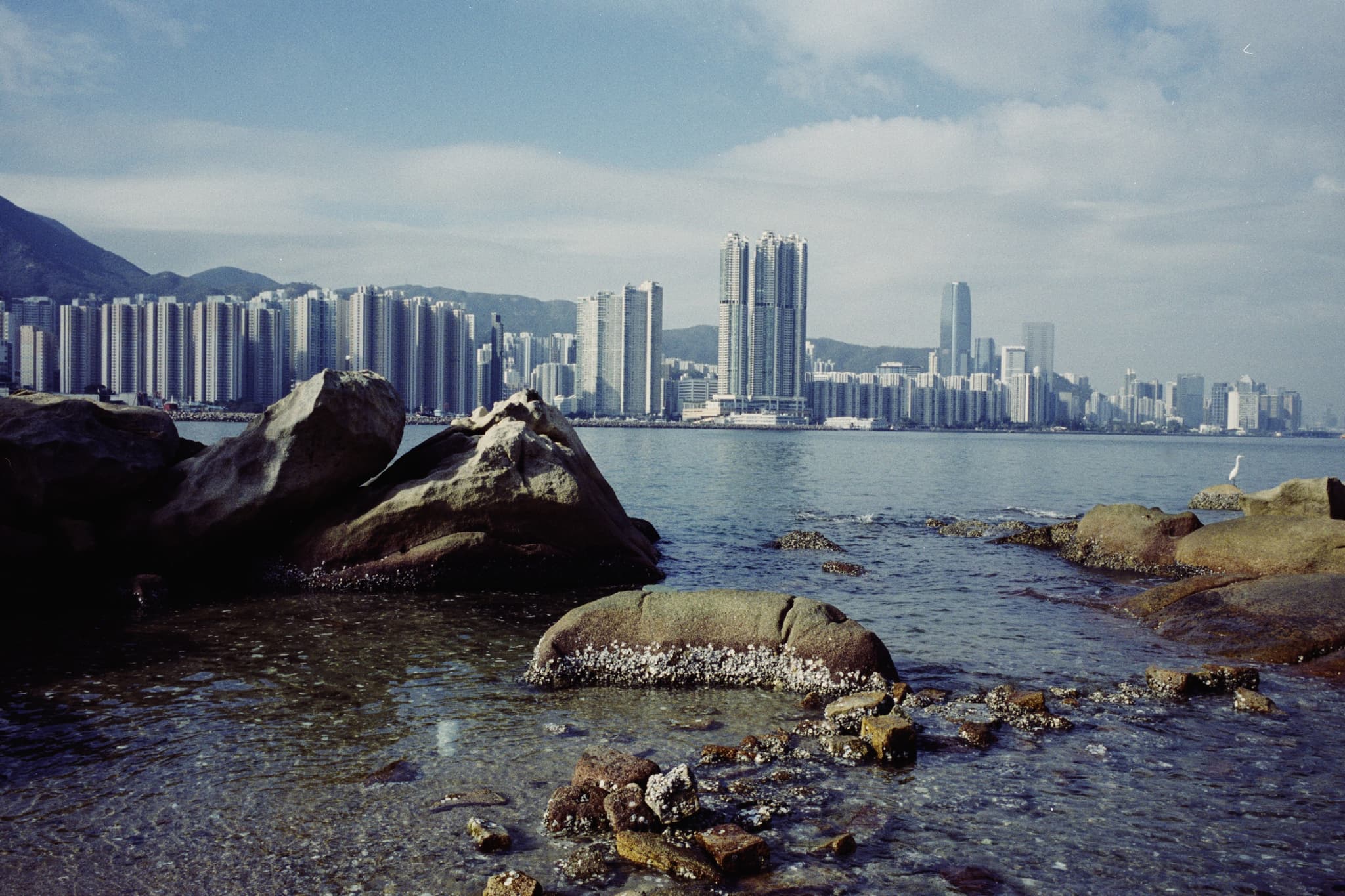 2025 Hongkong photo 80