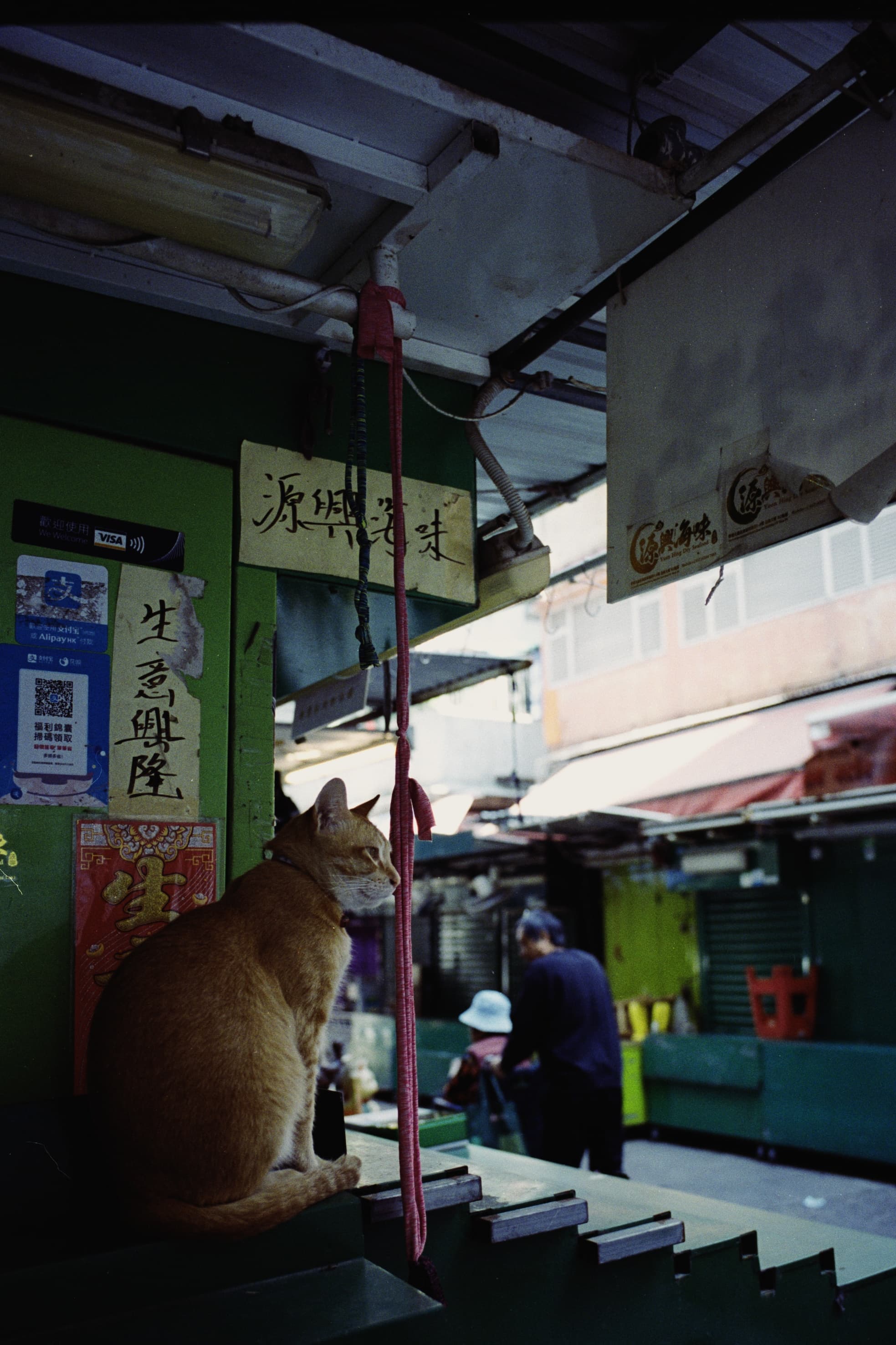 2025 Hongkong photo 84