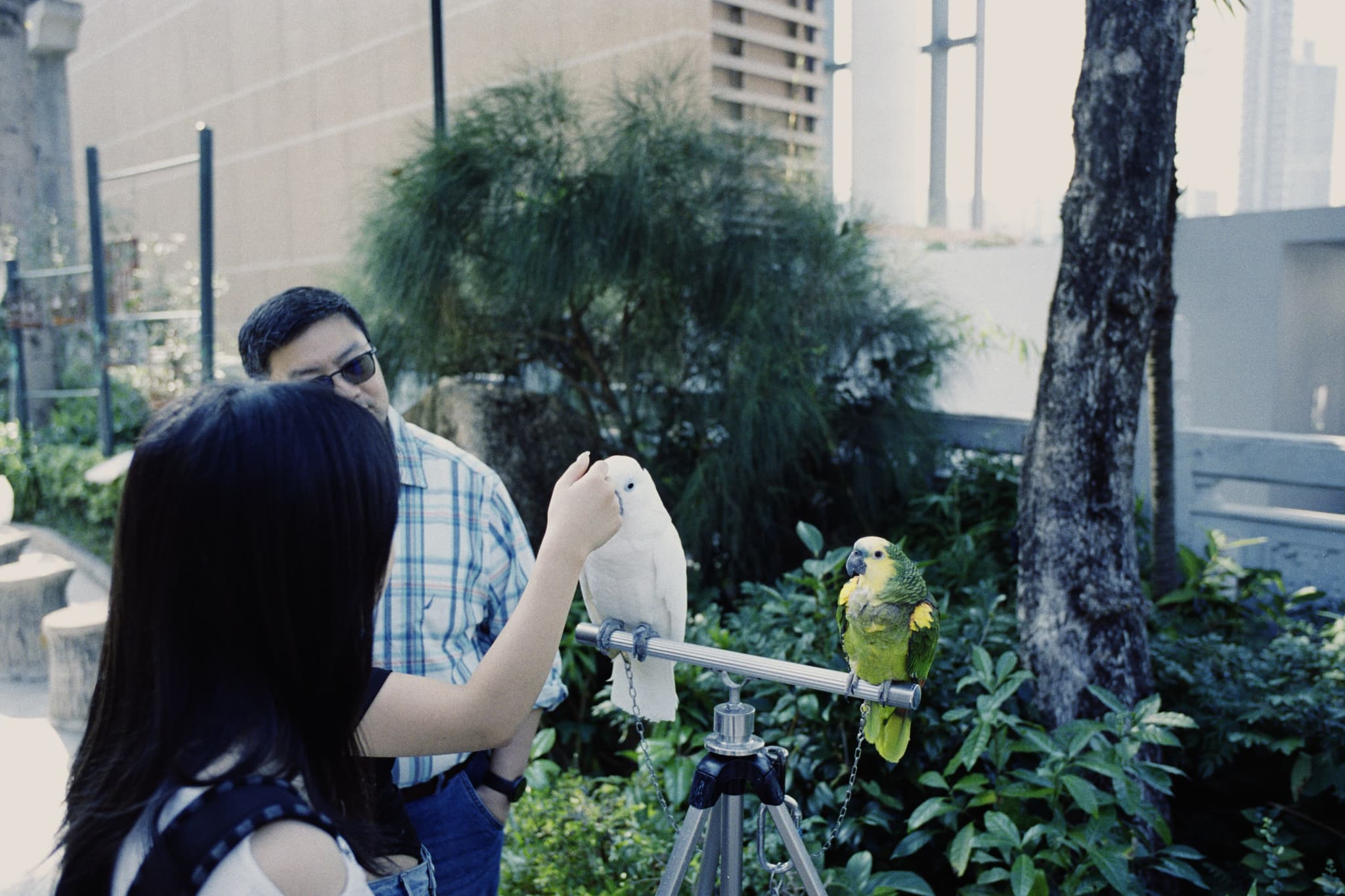 2025 Hongkong photo 88