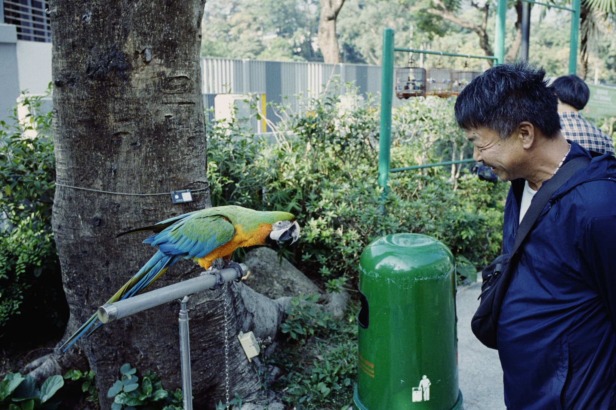 2025 Hongkong photo 89