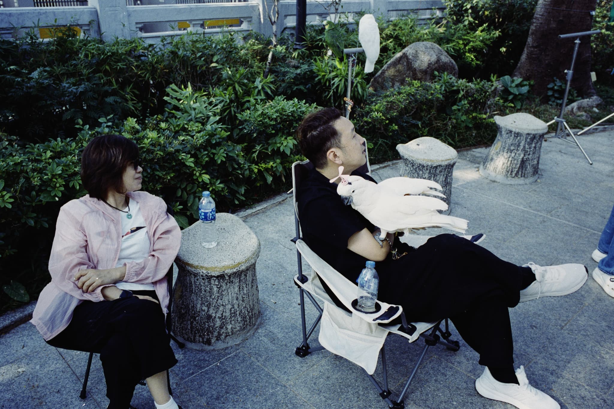 2025 Hongkong photo 90