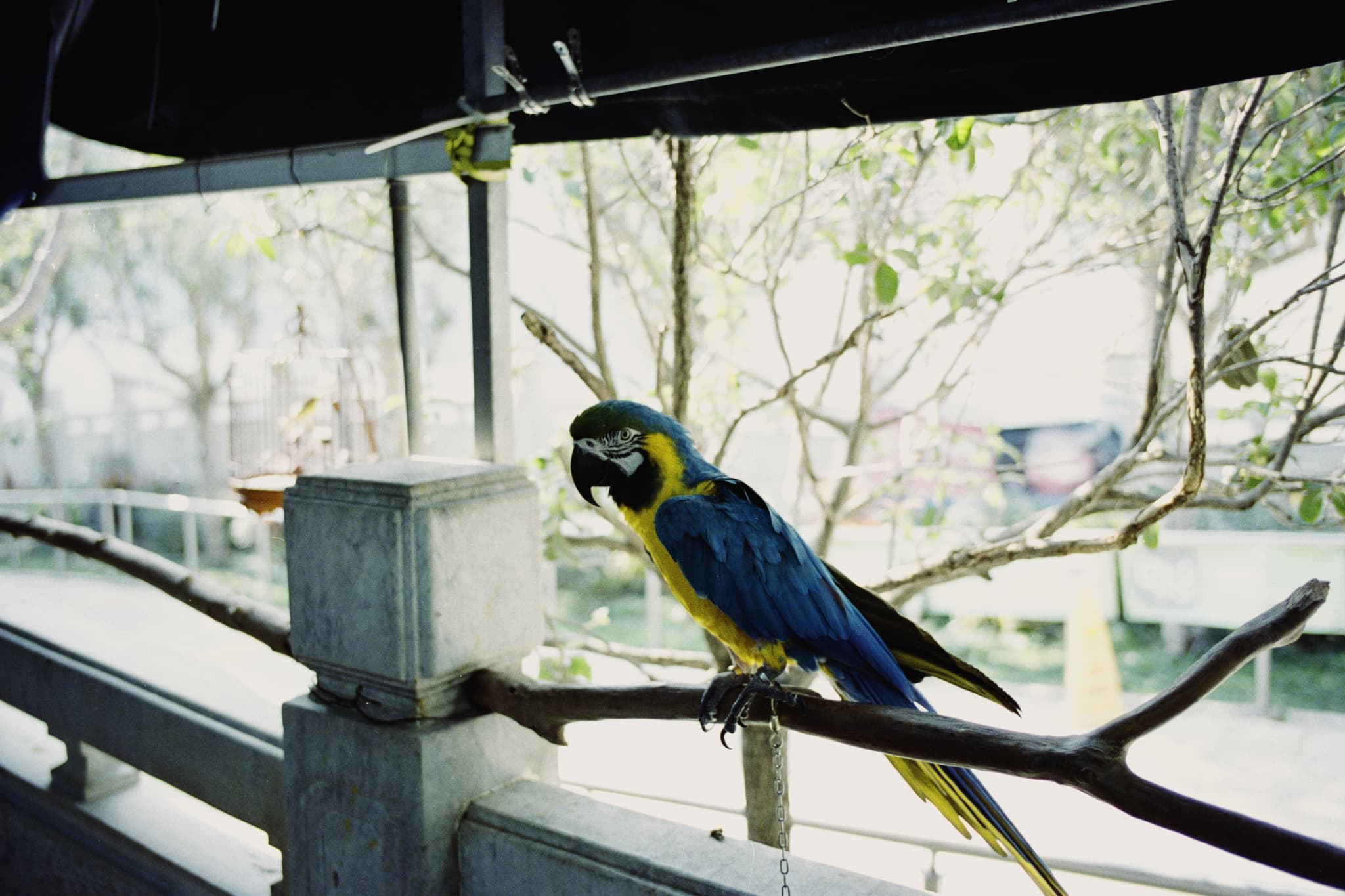 2025 Hongkong photo 91