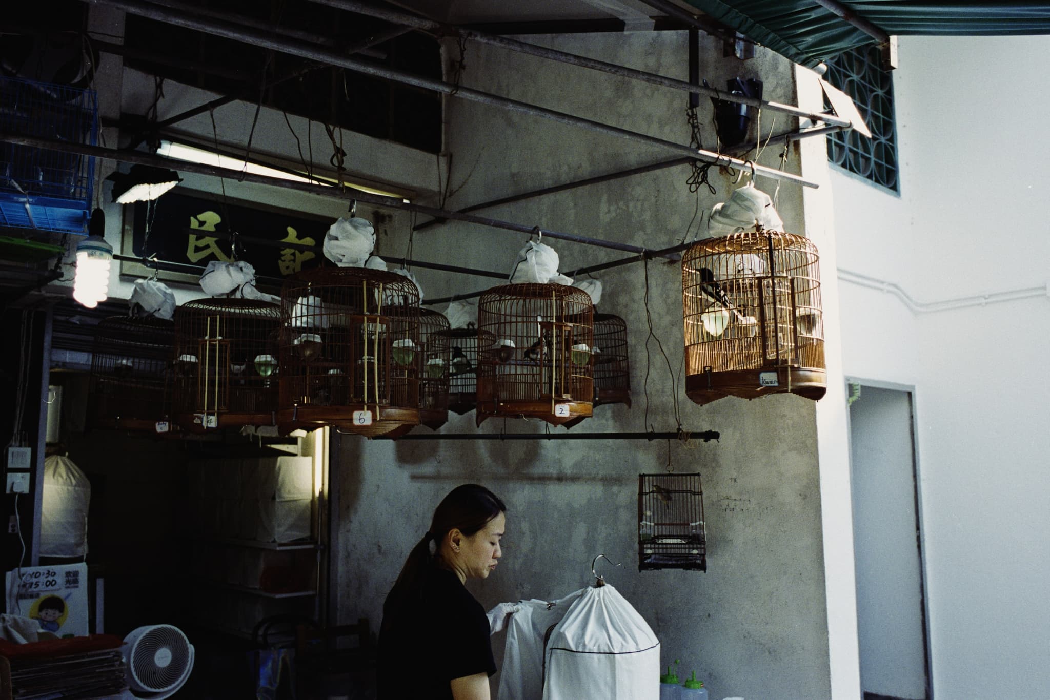 2025 Hongkong photo 92