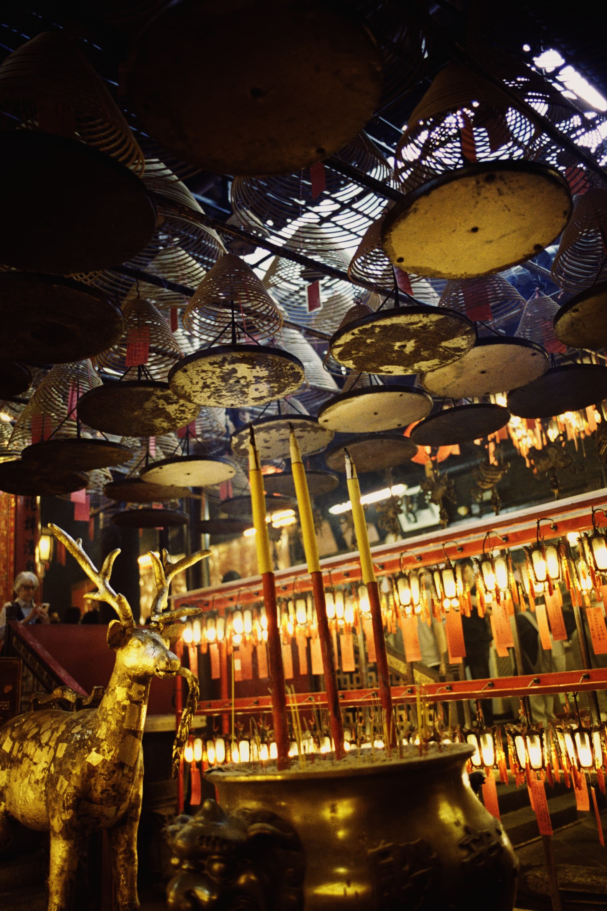 2025 Hongkong photo 106