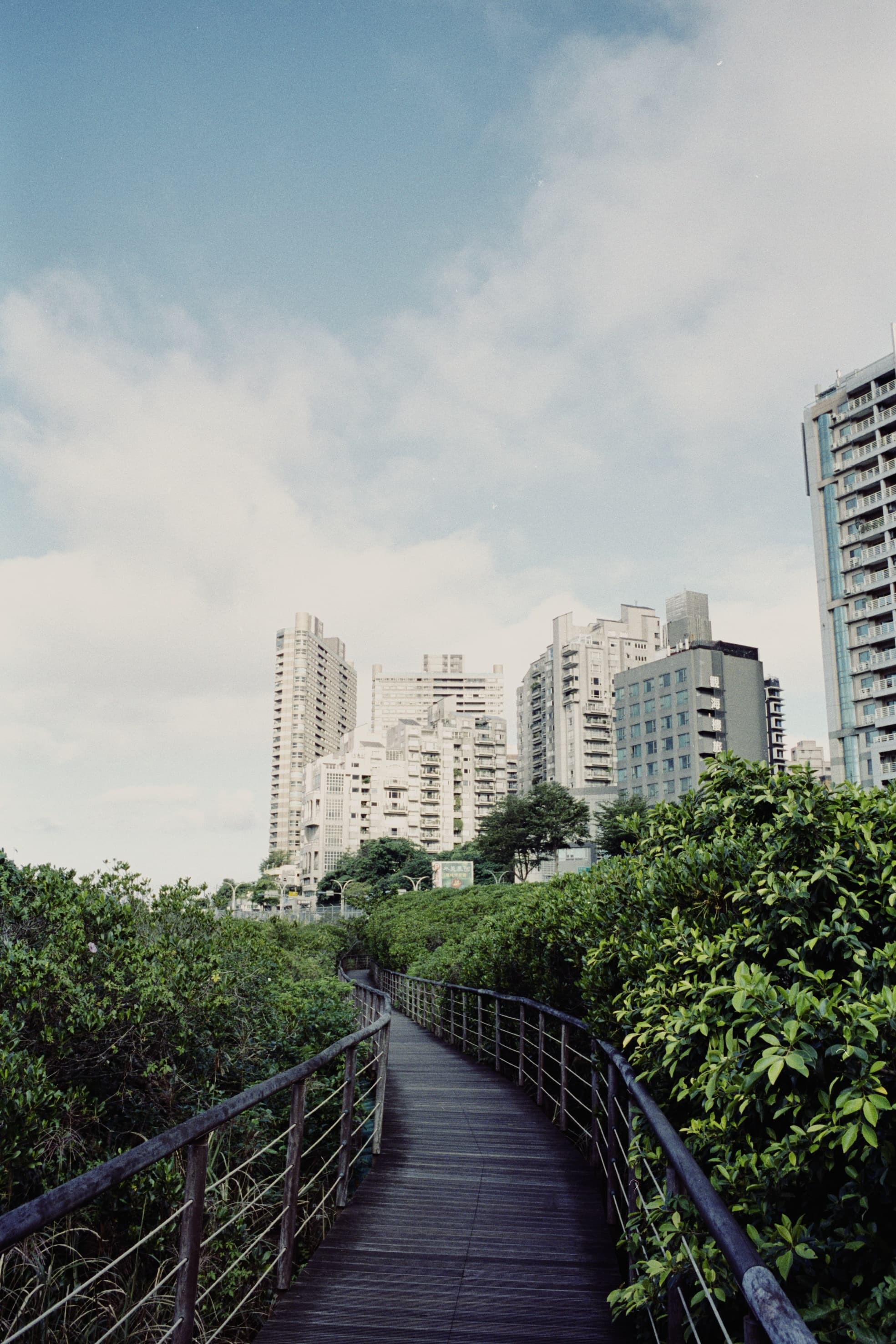 2025 Taiwan photo 12