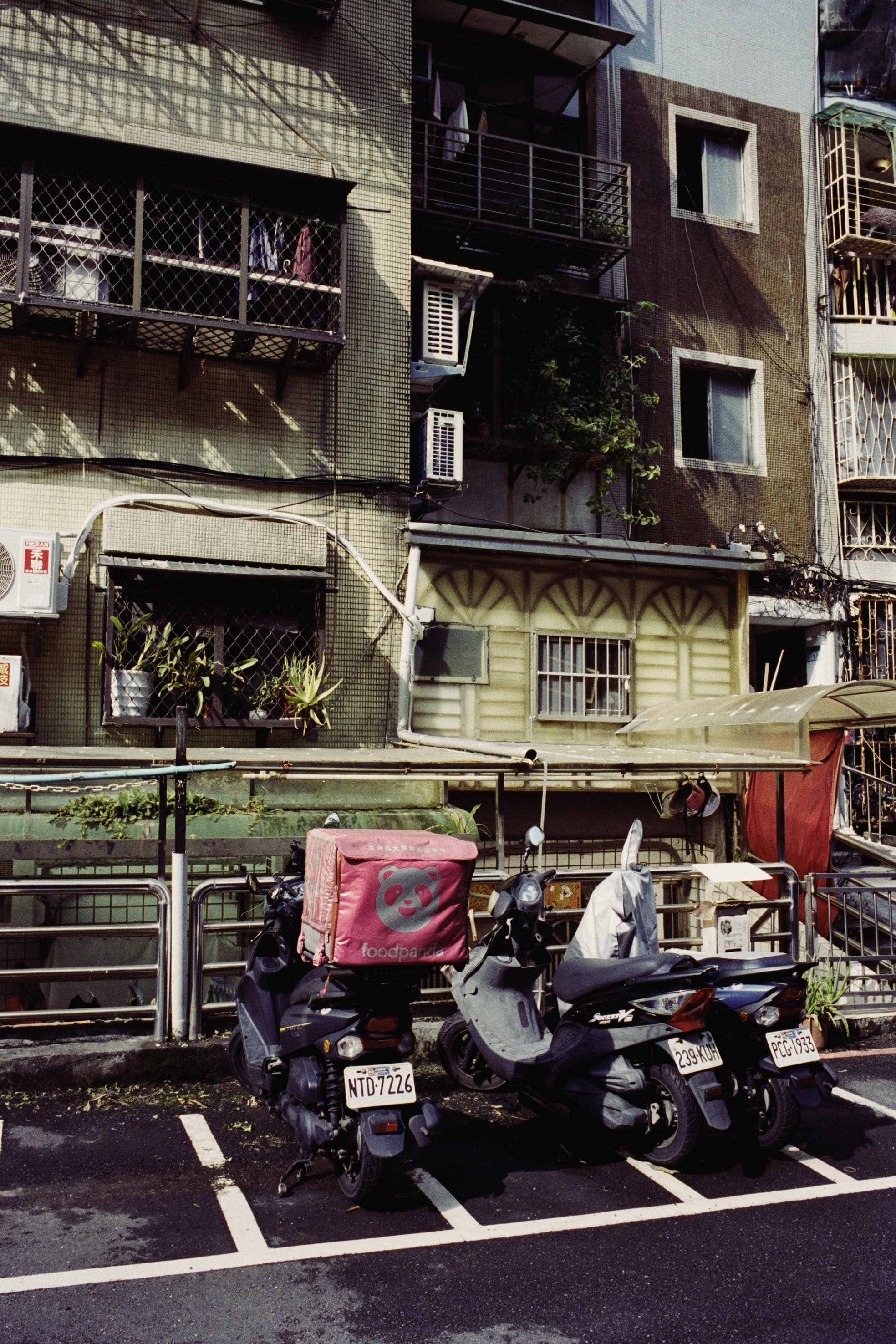 2025 Taiwan photo 20