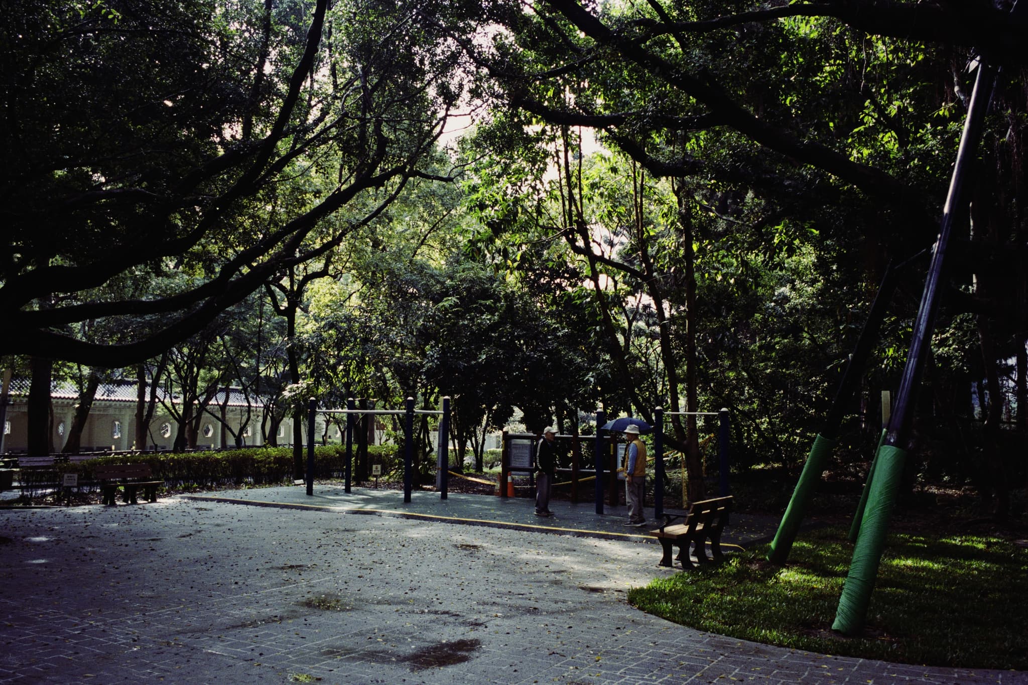 2025 Taiwan photo 25