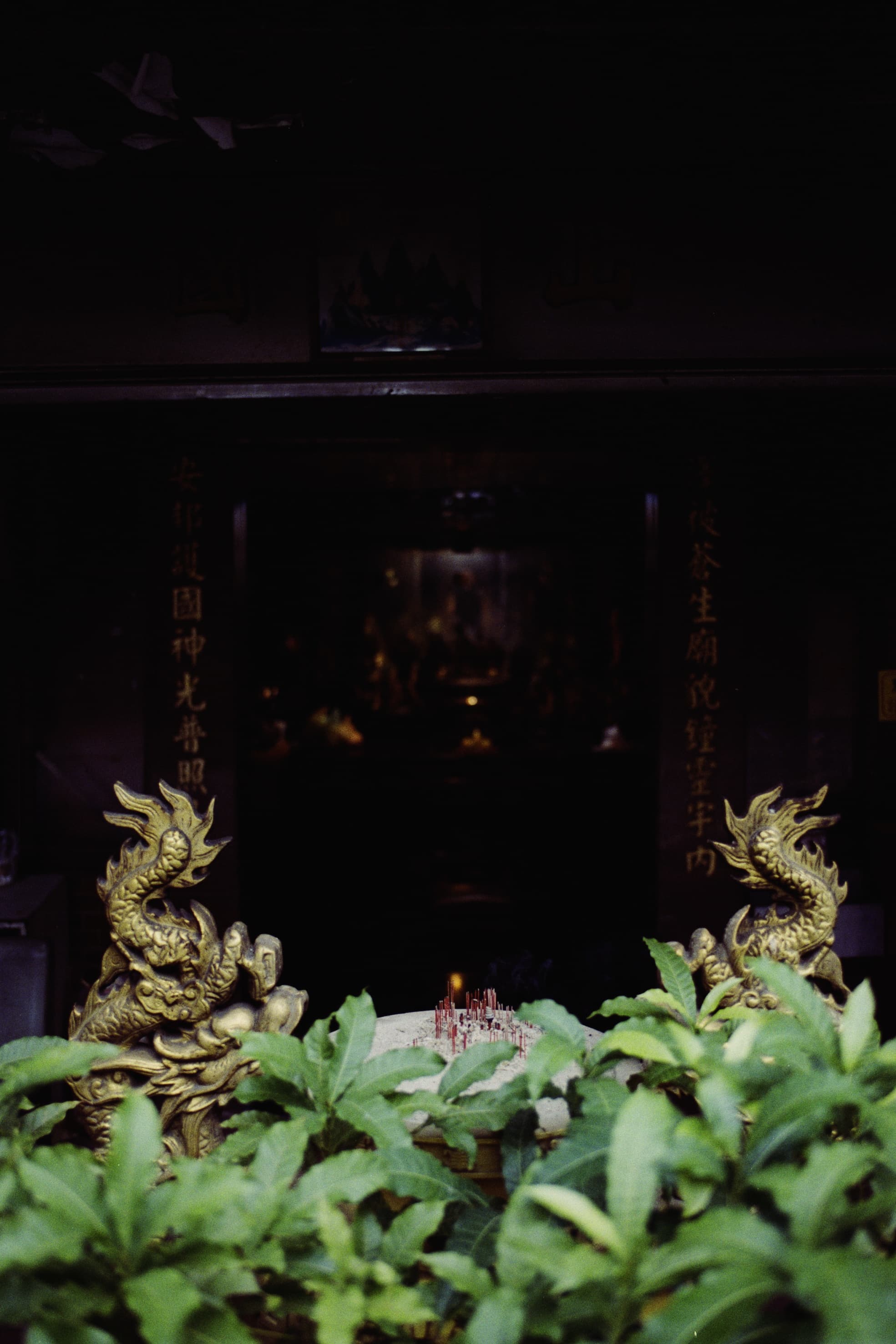 2025 Taiwan photo 44