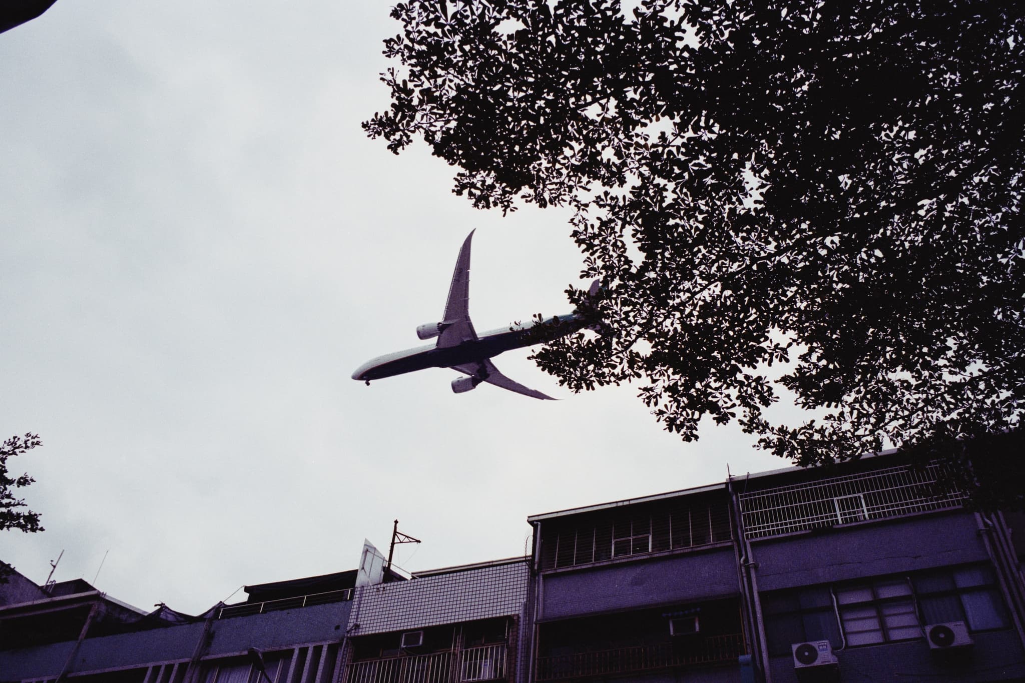 2025 Taiwan photo 49