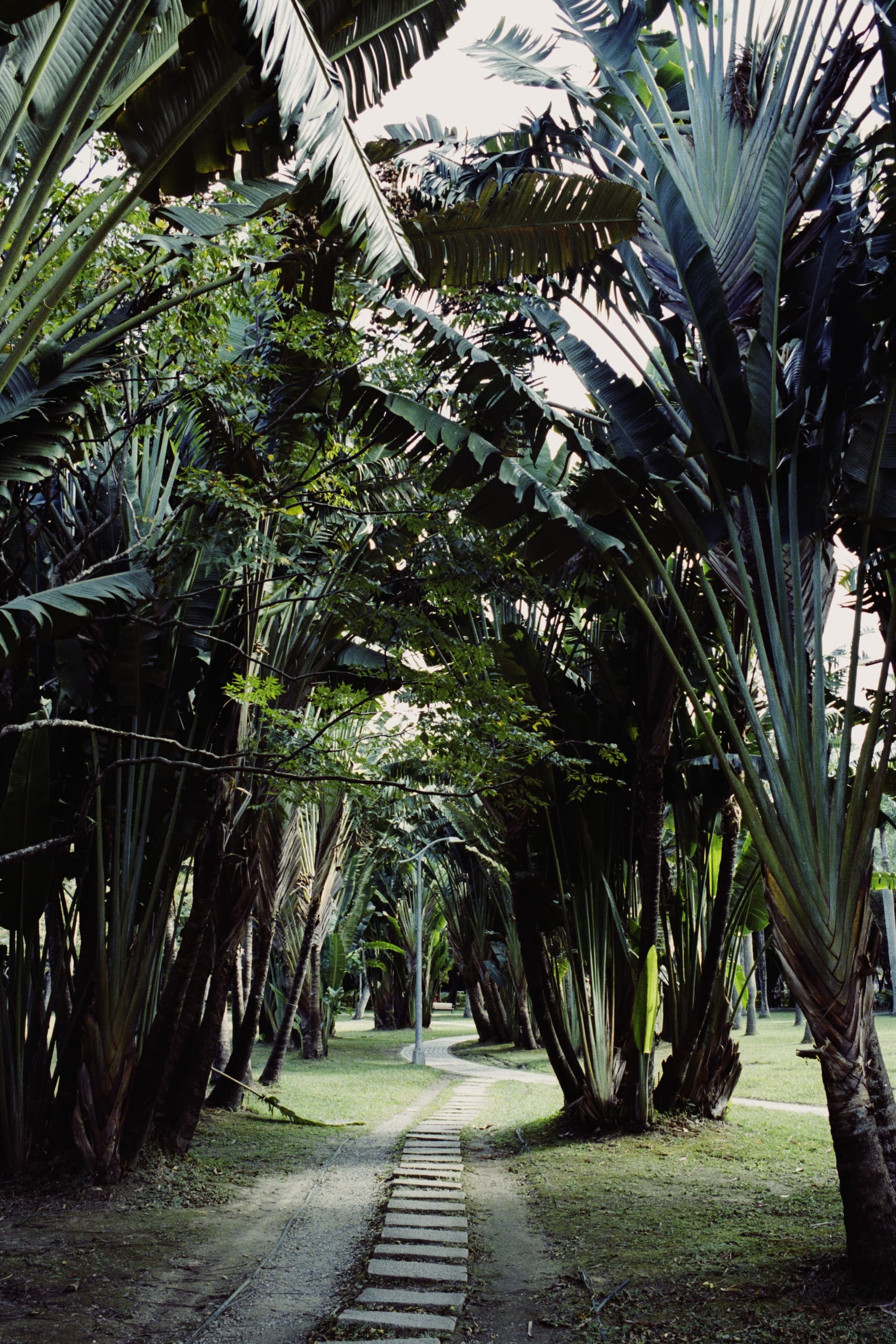 2025 Taiwan photo 54