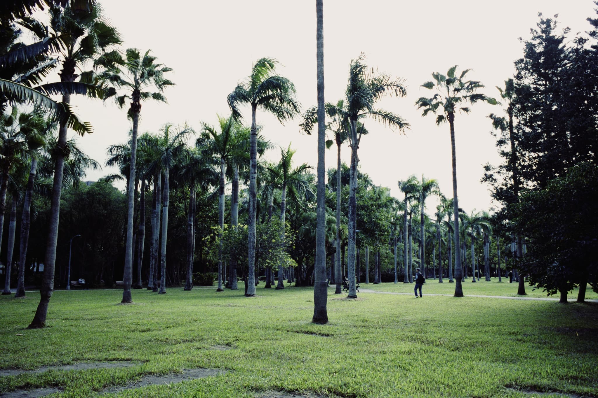 2025 Taiwan photo 55